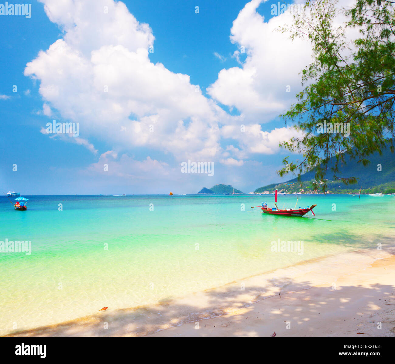 Longtail-Boot und schöner Strand. Koh Tao, Thailand Stockfoto