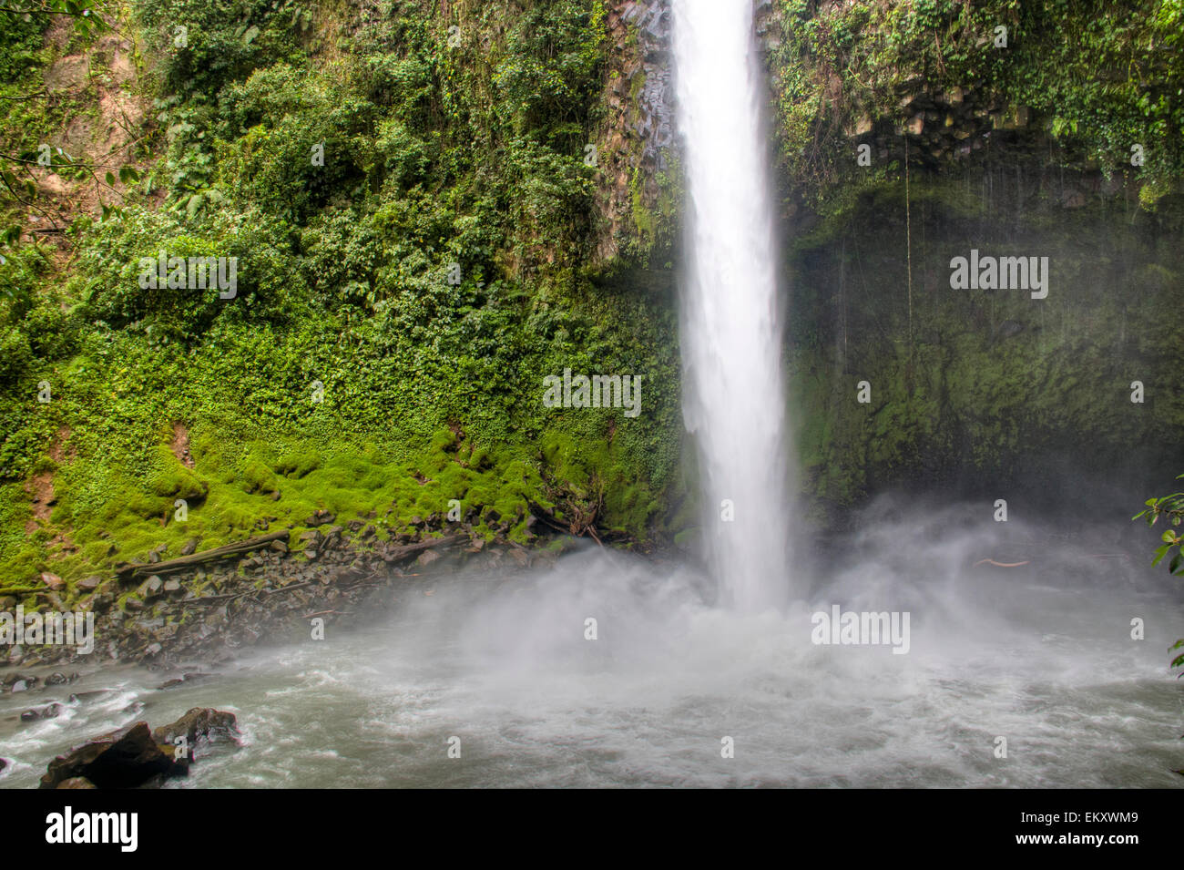 La Fortuna Wasserfall in Arenal Nationalpark, Costa Rica Stockfoto