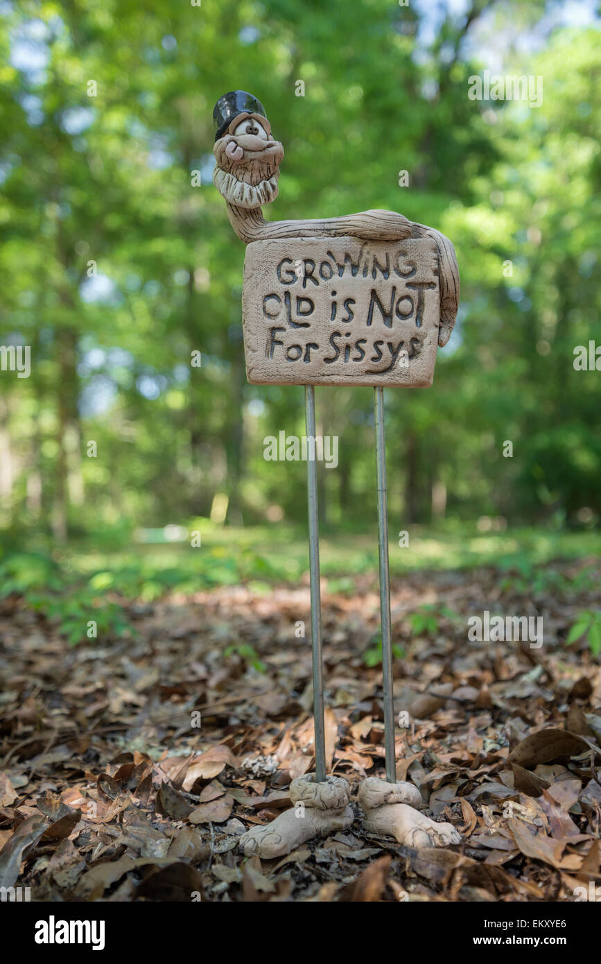 Lustige Hof Kunst "Wachsenden alt ist nicht für Sissys". Stockfoto