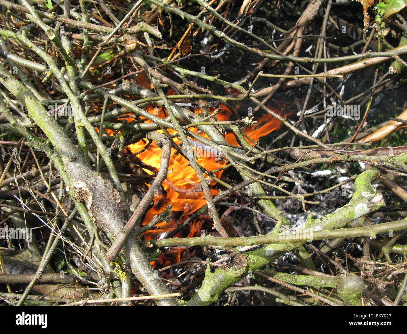 Frühling-Lagerfeuer Stockfoto