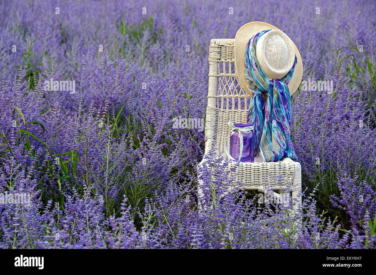 Hut und Mason Jar auf einem Korbstuhl in einem Feld von lila russischer Salbei. Stockfoto