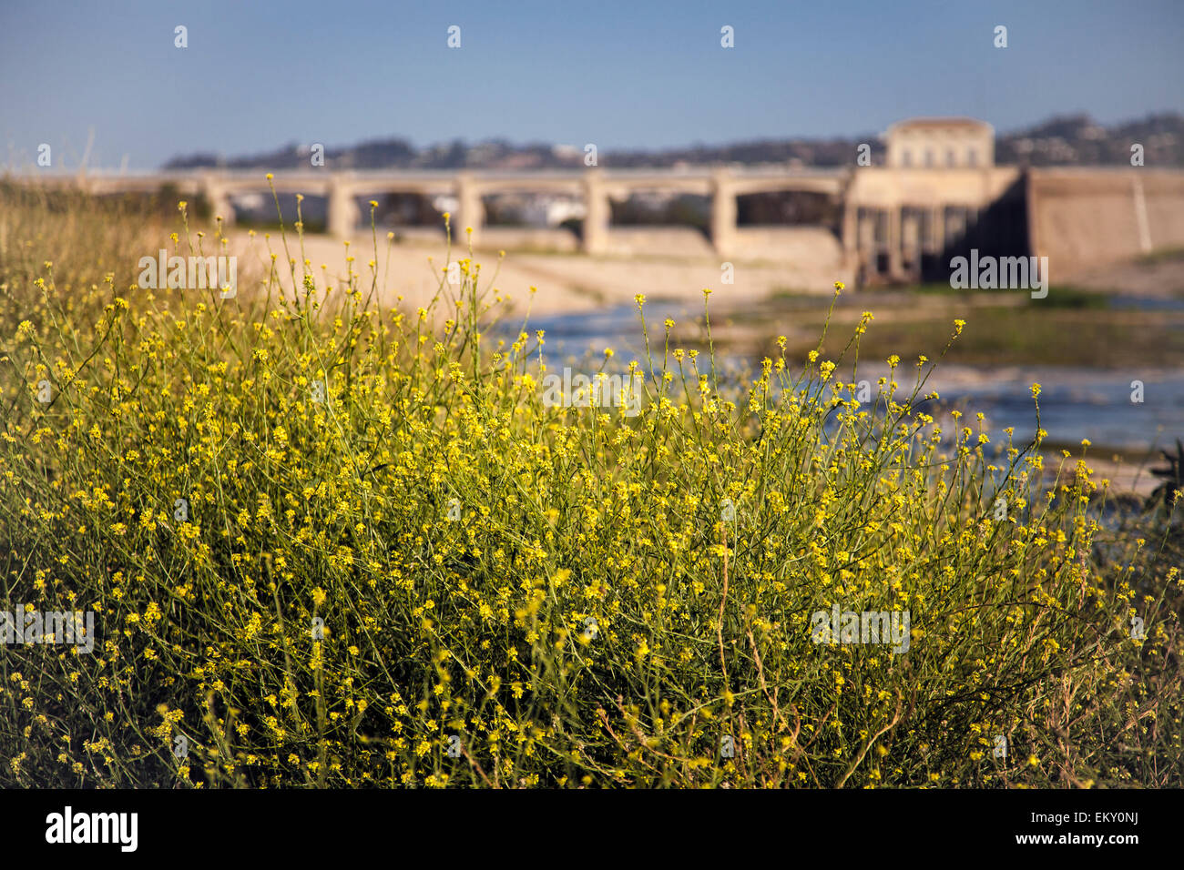 Sepulveda Damm, Sepulveda Becken Erholungsgebiet, San Fernando Valley, Los Angeles, Kalifornien, USA Stockfoto