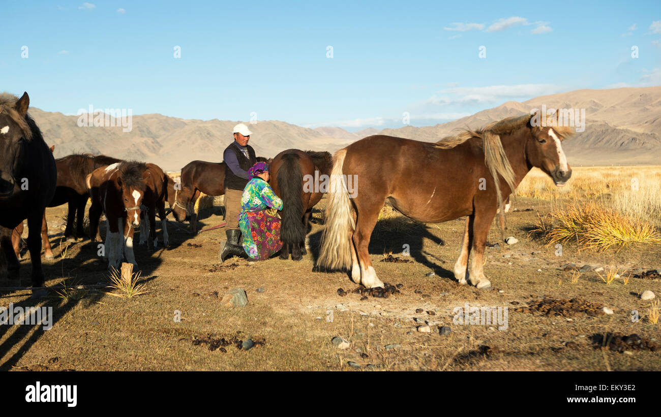 Mongolei-Eagle Jäger Festival Tradition Pferd Stockfoto