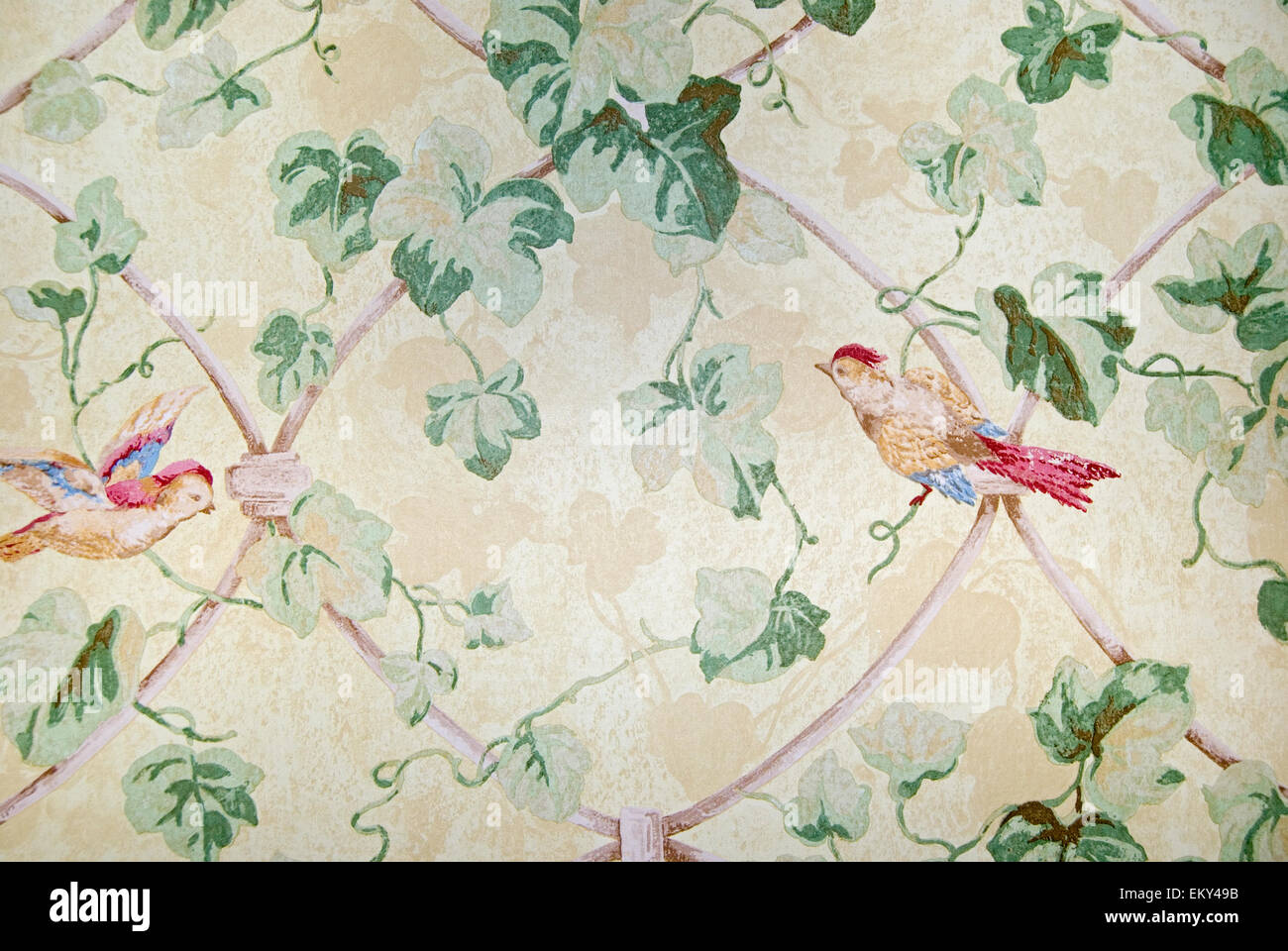Altmodisch Tapeten mit paar Vögel und Efeu. Stockfoto