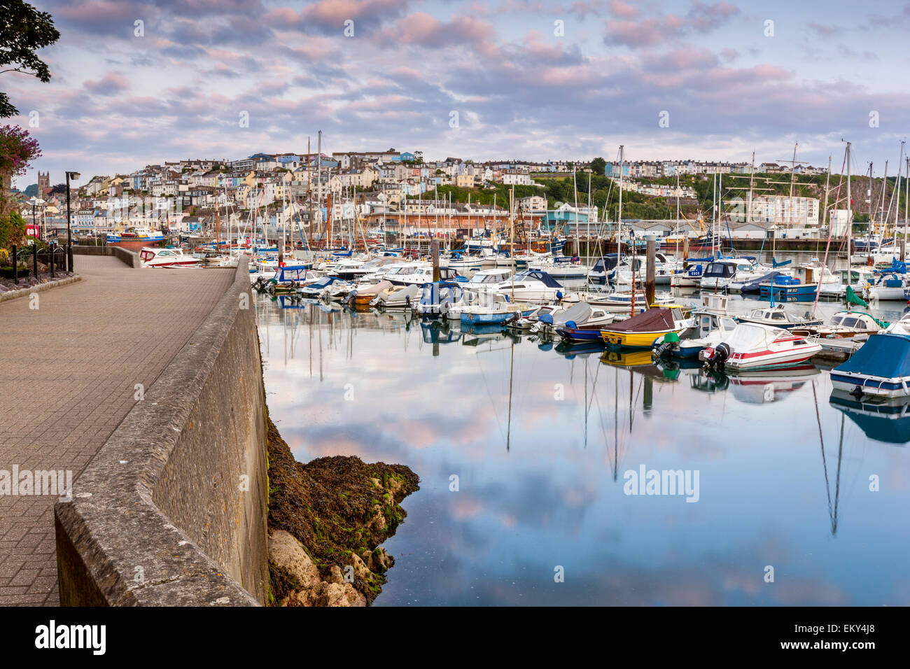 Brixham Hafen, South Devon, England, Vereinigtes Königreich, Europa. Stockfoto