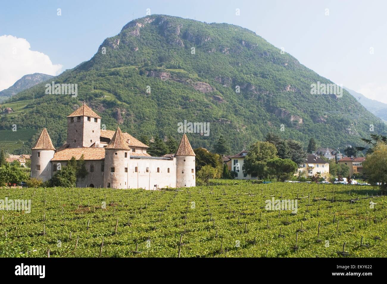 Bozen, Alto Adige, Italien; Burg In einem Weinberg Stockfoto