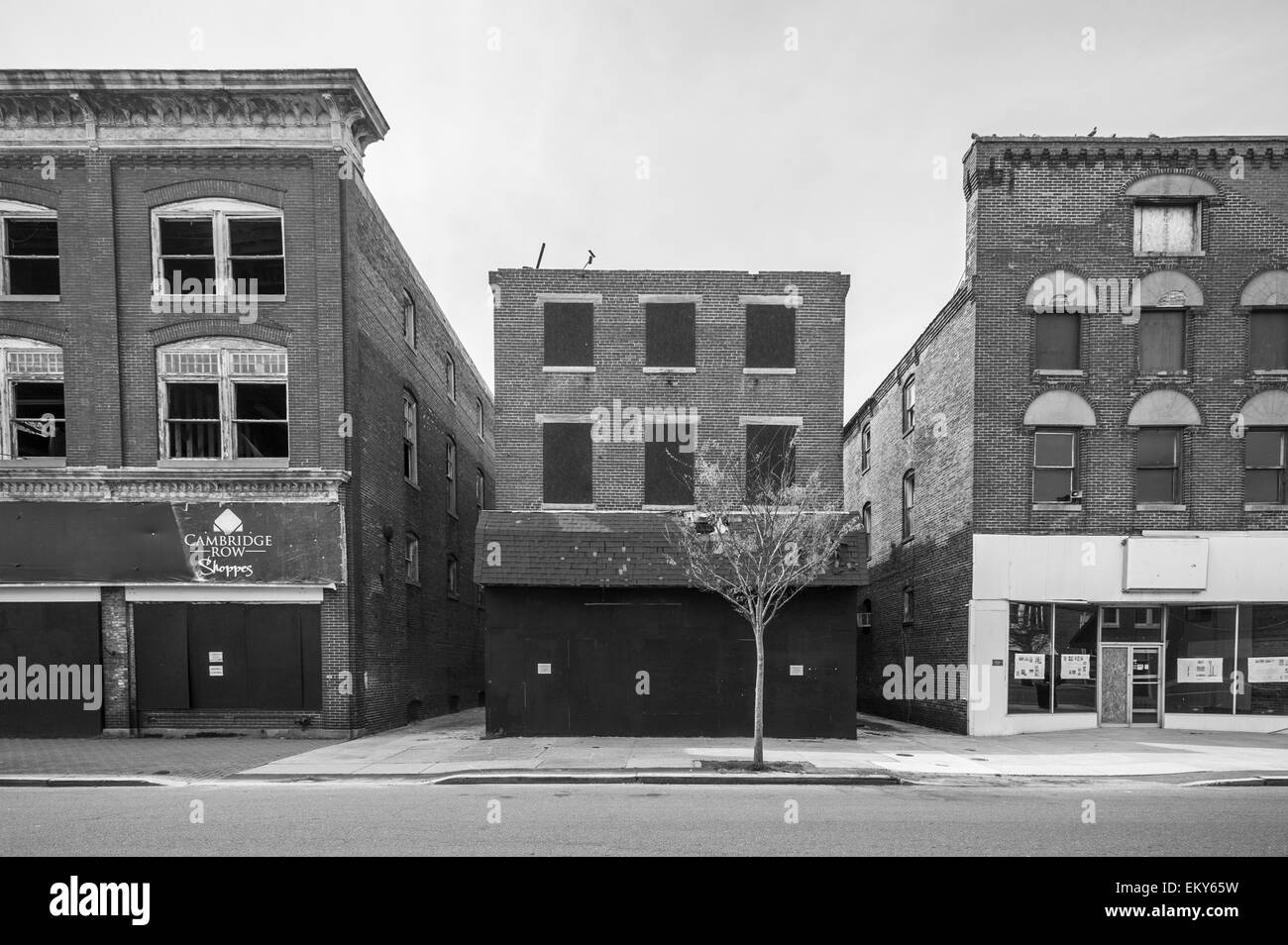 Schwarz und weiß von alten gewerblich genutzten Gebäuden; Cambridge, Maryland, Vereinigte Staaten von Amerika Stockfoto