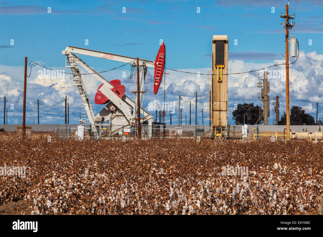 Ein Bohrschwengels am Ölquelle und Fracking-Standort befindet sich im Baumwollfeld in Shafter. Kern County, Kalifornien Stockfoto