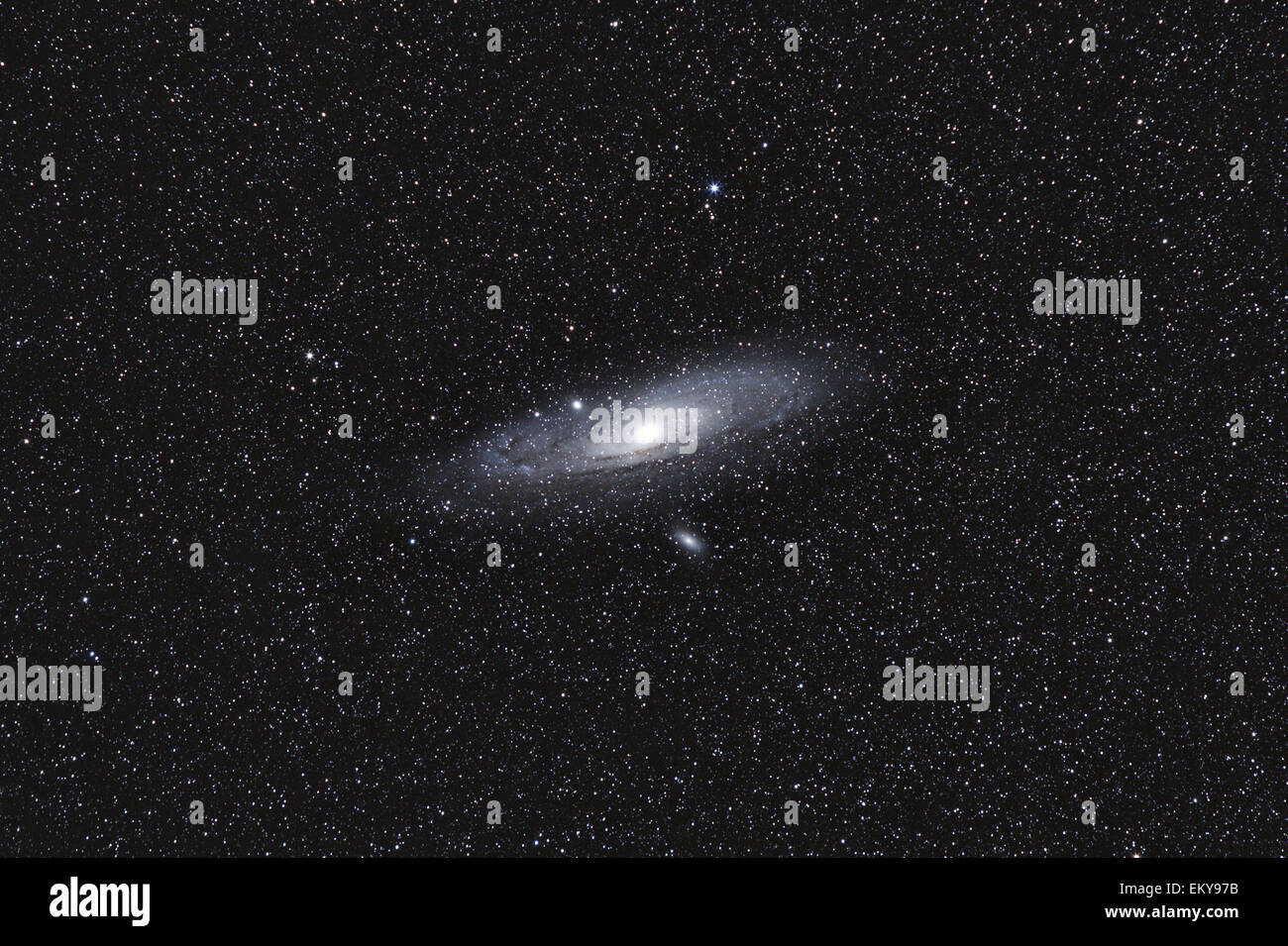 Andromeda-Galaxie im Sternbild Andromeda gegen nächtlichen Sternenhimmel schwarz Stockfoto