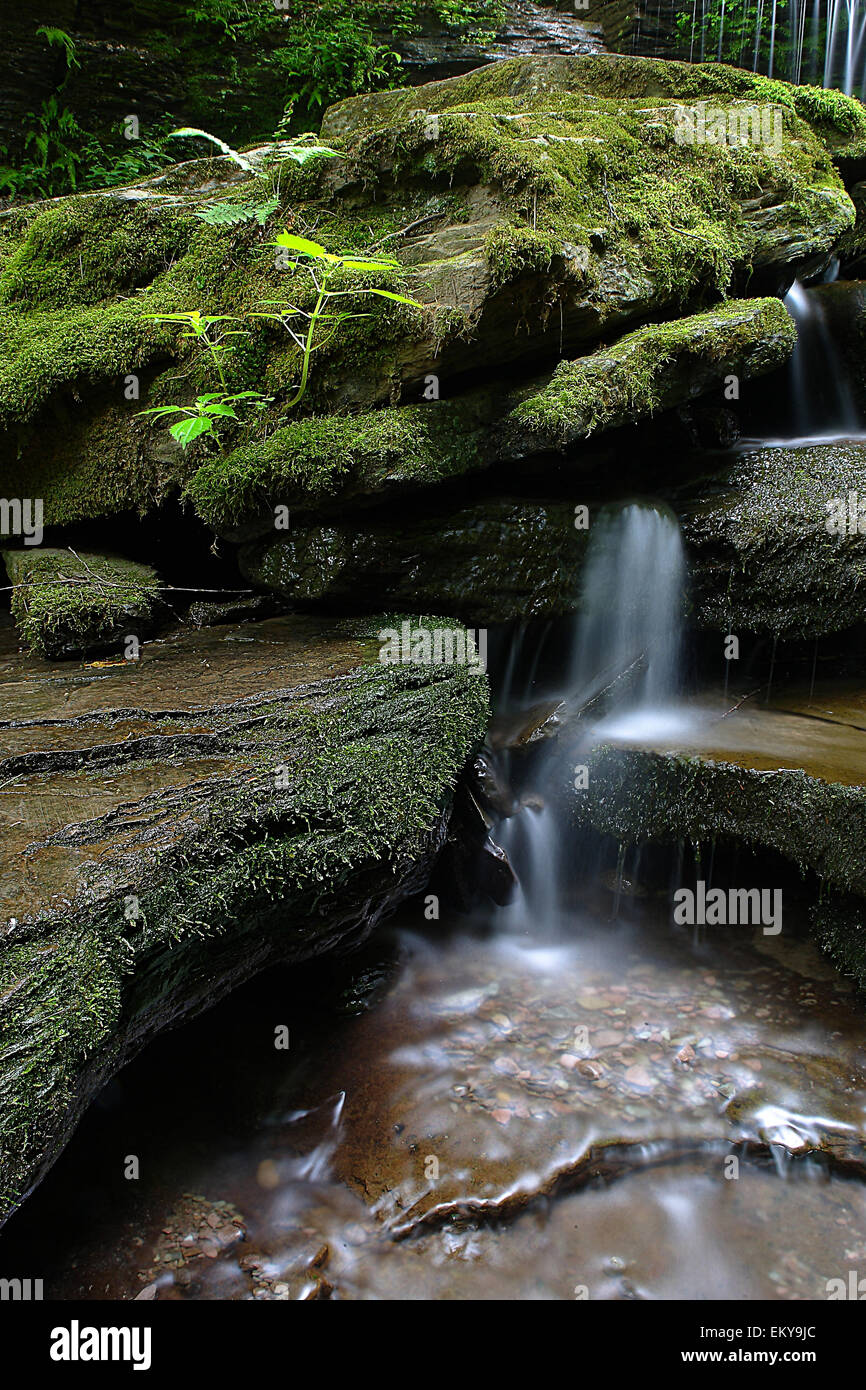 Moosigen Cascade Stockfoto