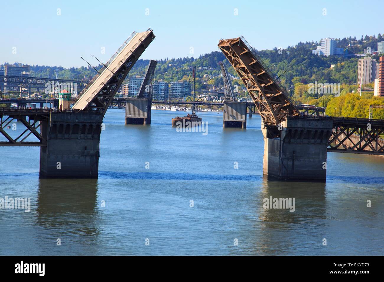 Portland, Oregon, Vereinigte Staaten von Amerika; Die Innenstadt von Portland und Willamette River Stockfoto