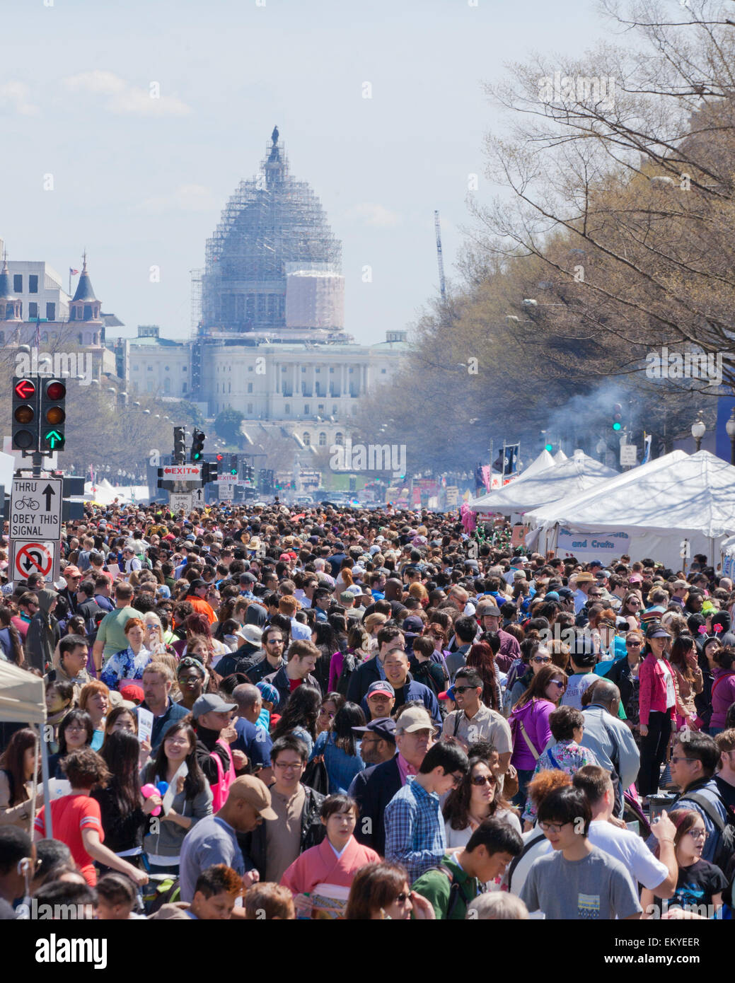 Menge an nationalen Kirschblütenfest (Sakura Matsuri) - Washington, DC USA Stockfoto