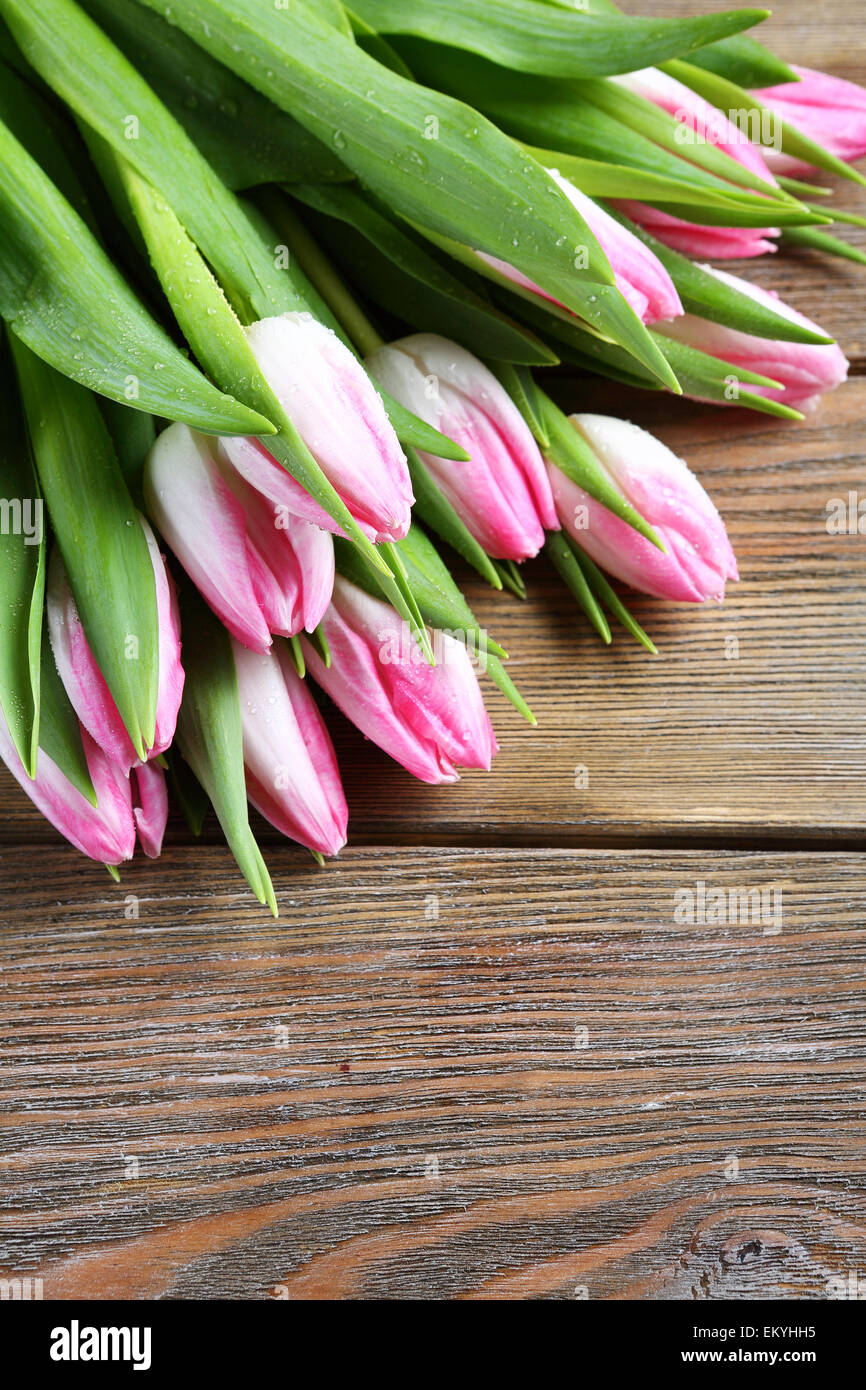 Bouquet von frischen Tulpen, Frühlingsblumen Stockfoto