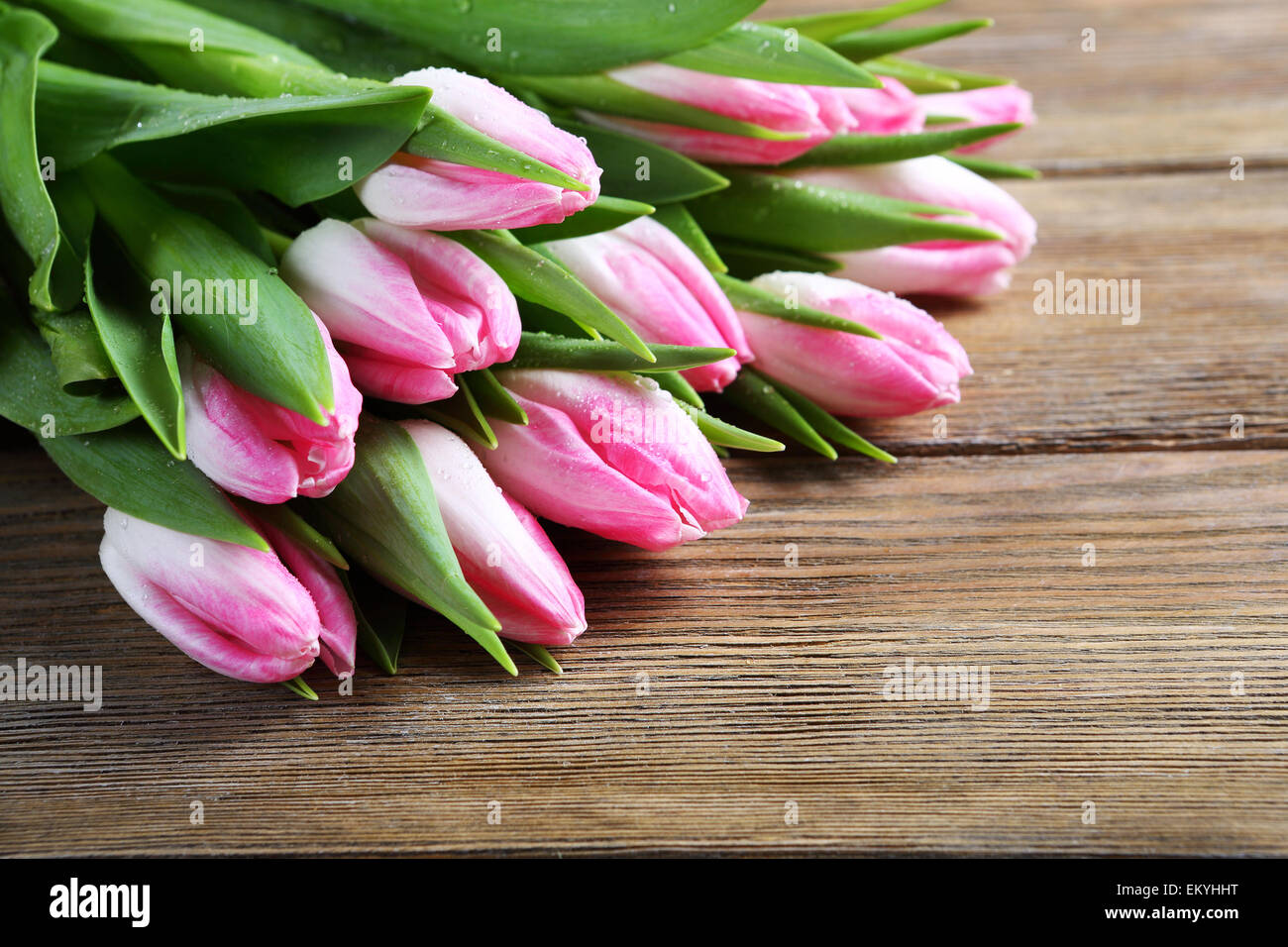 Tulpen auf dem hölzernen Hintergrund, Frühlingsblumen Stockfoto