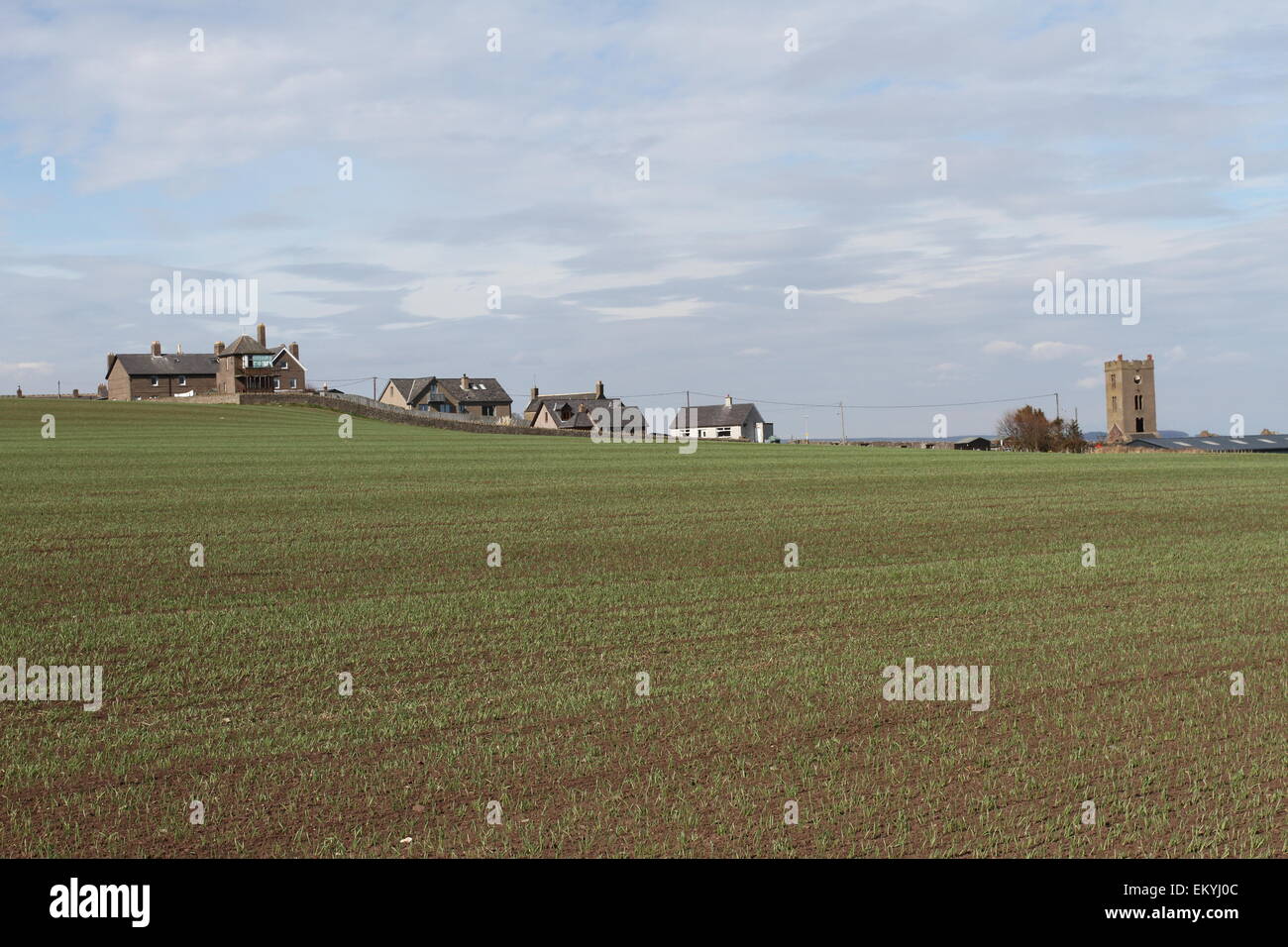 Usan Angus Schottland April 2015 Stockfoto