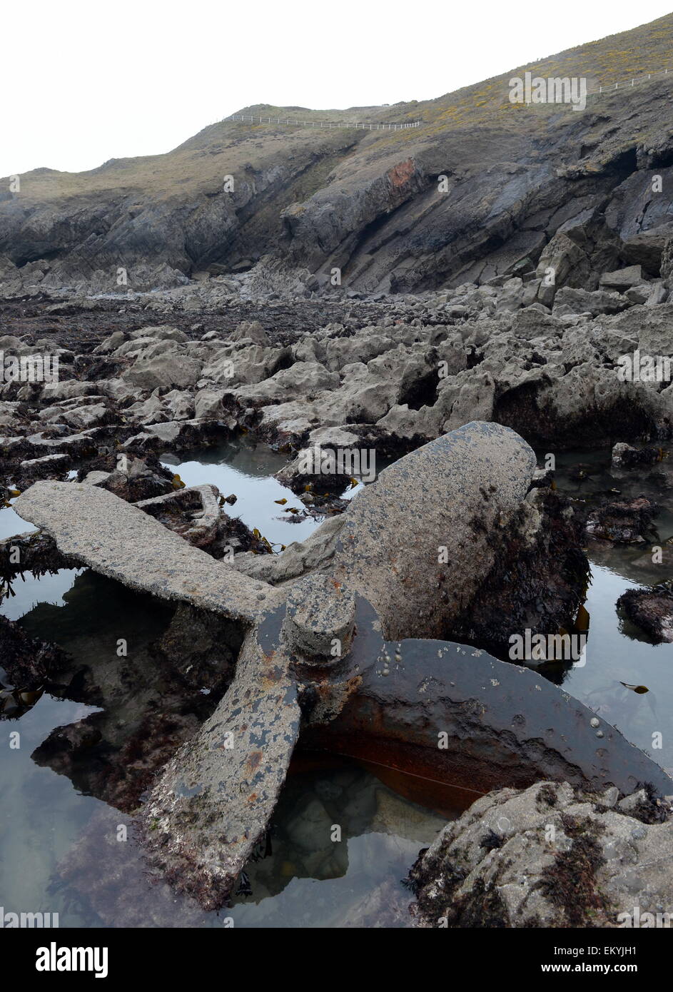 Wrack des Agnes 1886 mehr als zweihundert und fünfzig Schiffe sind gekommen, um Trauer beschäftigt und tückischen Küste der Gower Stockfoto