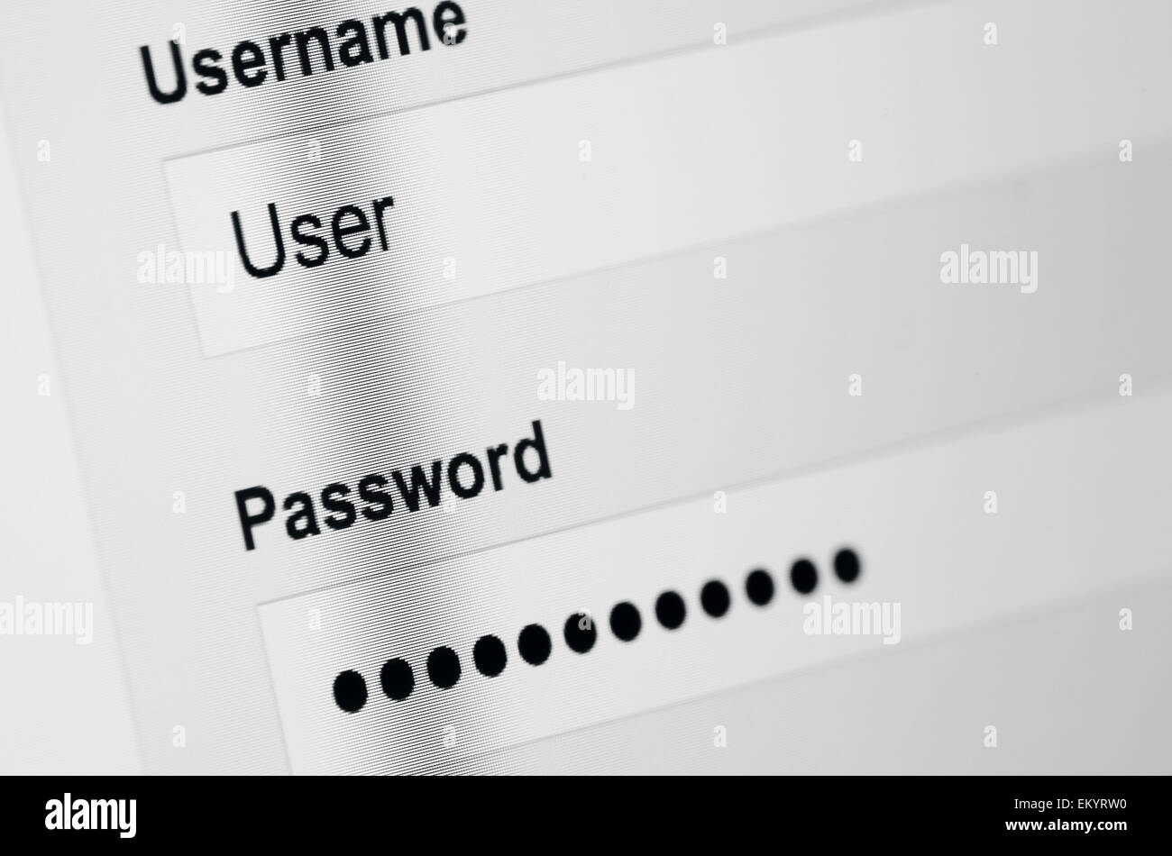 User-Login auf dem Bildschirm Stockfoto