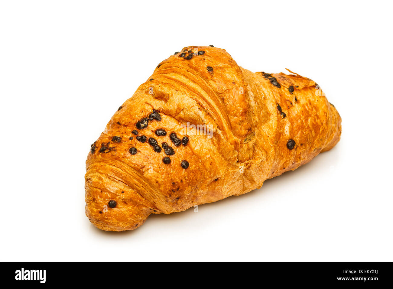 Köstliche französische Schoko-Croissant nah bis isoliert auf weißem Hintergrund. Frühstück frisch aus der Backstube. Konzentrierte sich auf Vorderseite. Stockfoto