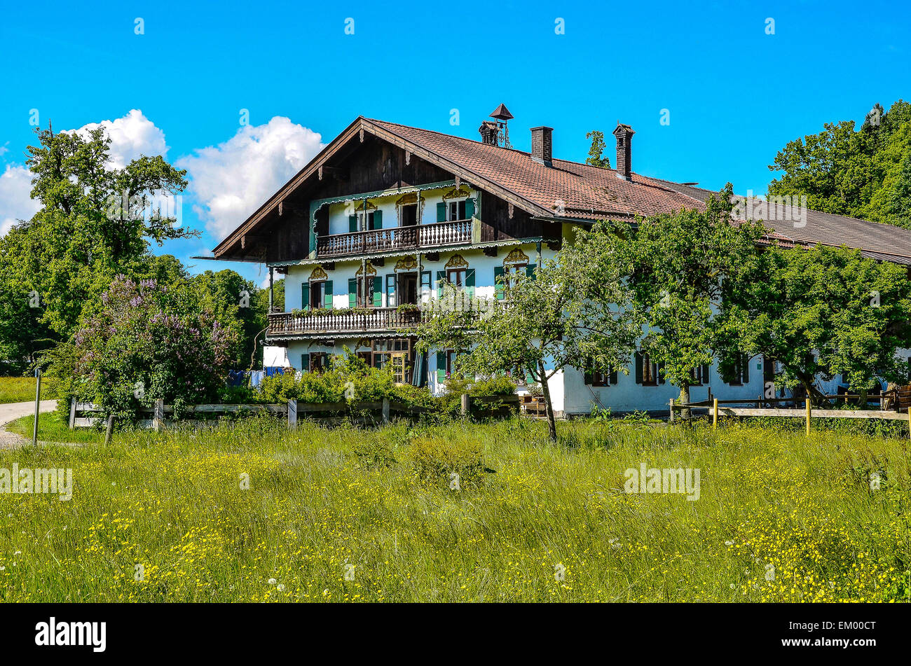 Schöner Bauernhof in Oberbayern inmitten blühender Frühling Wiesen mit blauem Himmel auf einer kleinen Landstraße Stockfoto