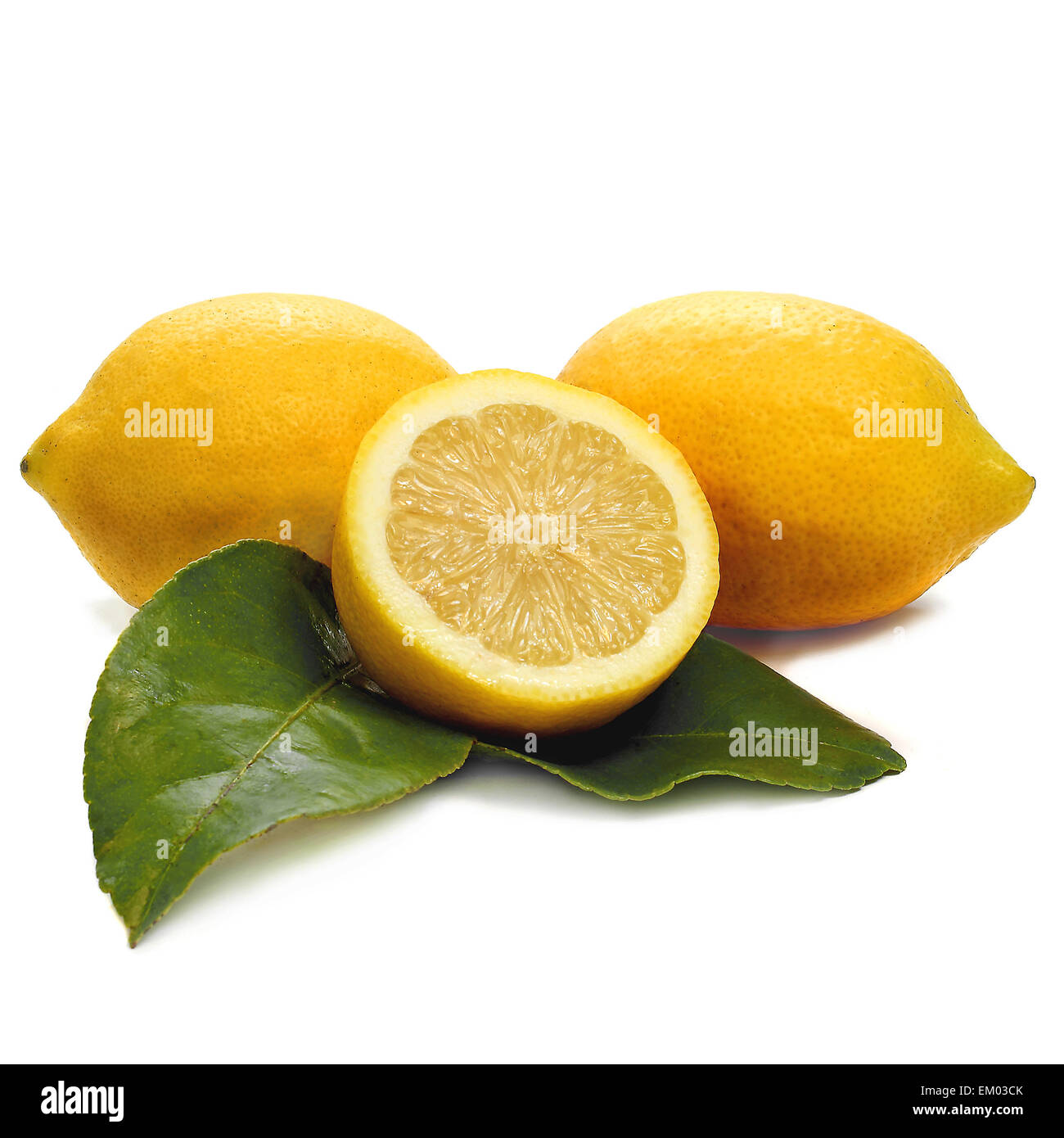 Zitronen und weiß Stockfoto