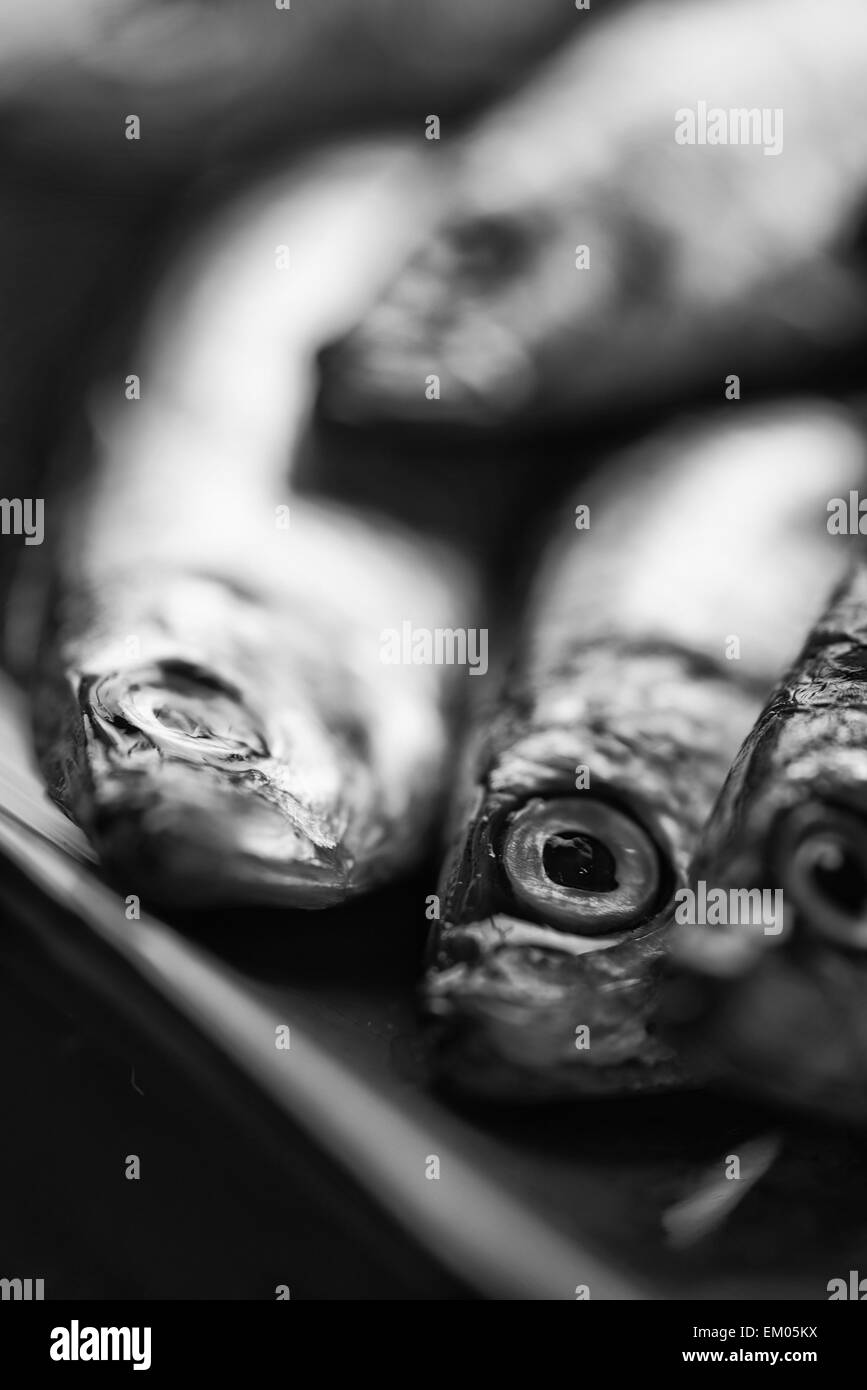 Frische Sprotten Fisch auf dem Teller schwarz und weiß Stockfoto