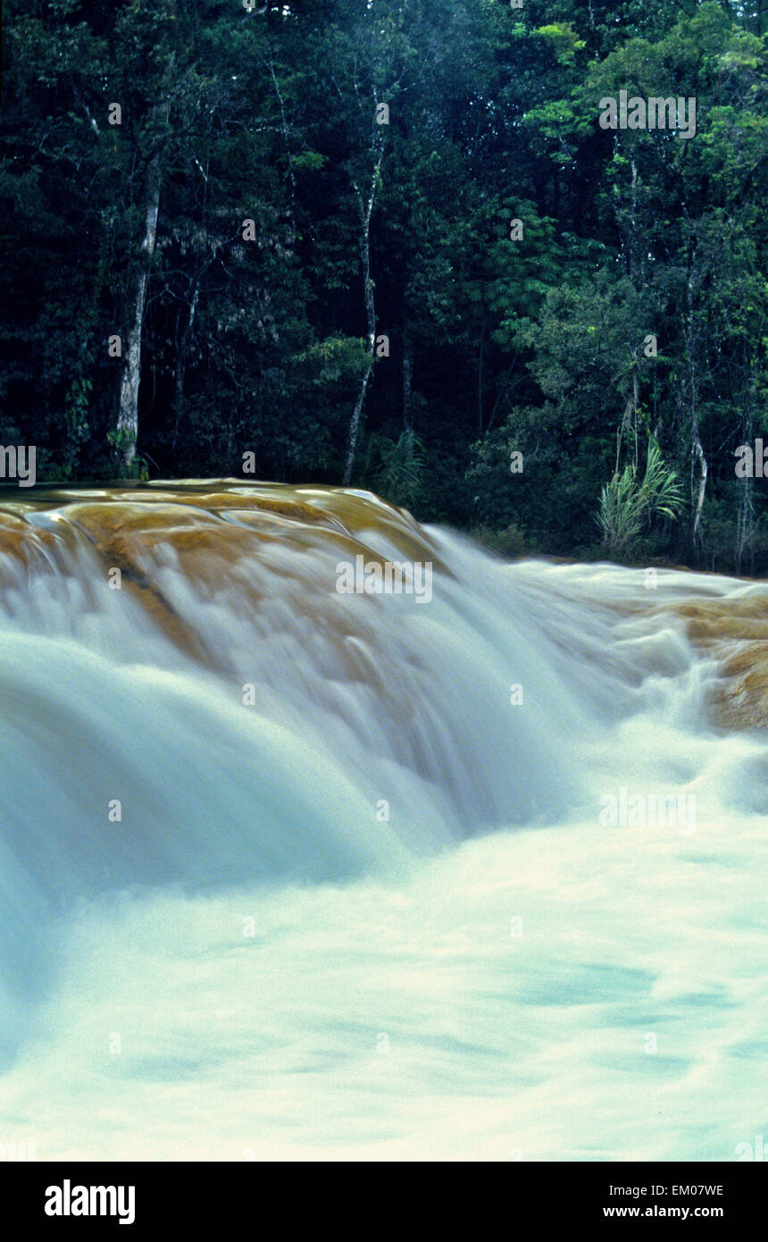 Mexiko - Aqua Azul Kaskaden in Chiapas in der Nähe von Palenque am Fluss gewählt sind ein muss für Touristen, die in den scheinbar sicheren blauen Wasser schwimmen können. Stockfoto