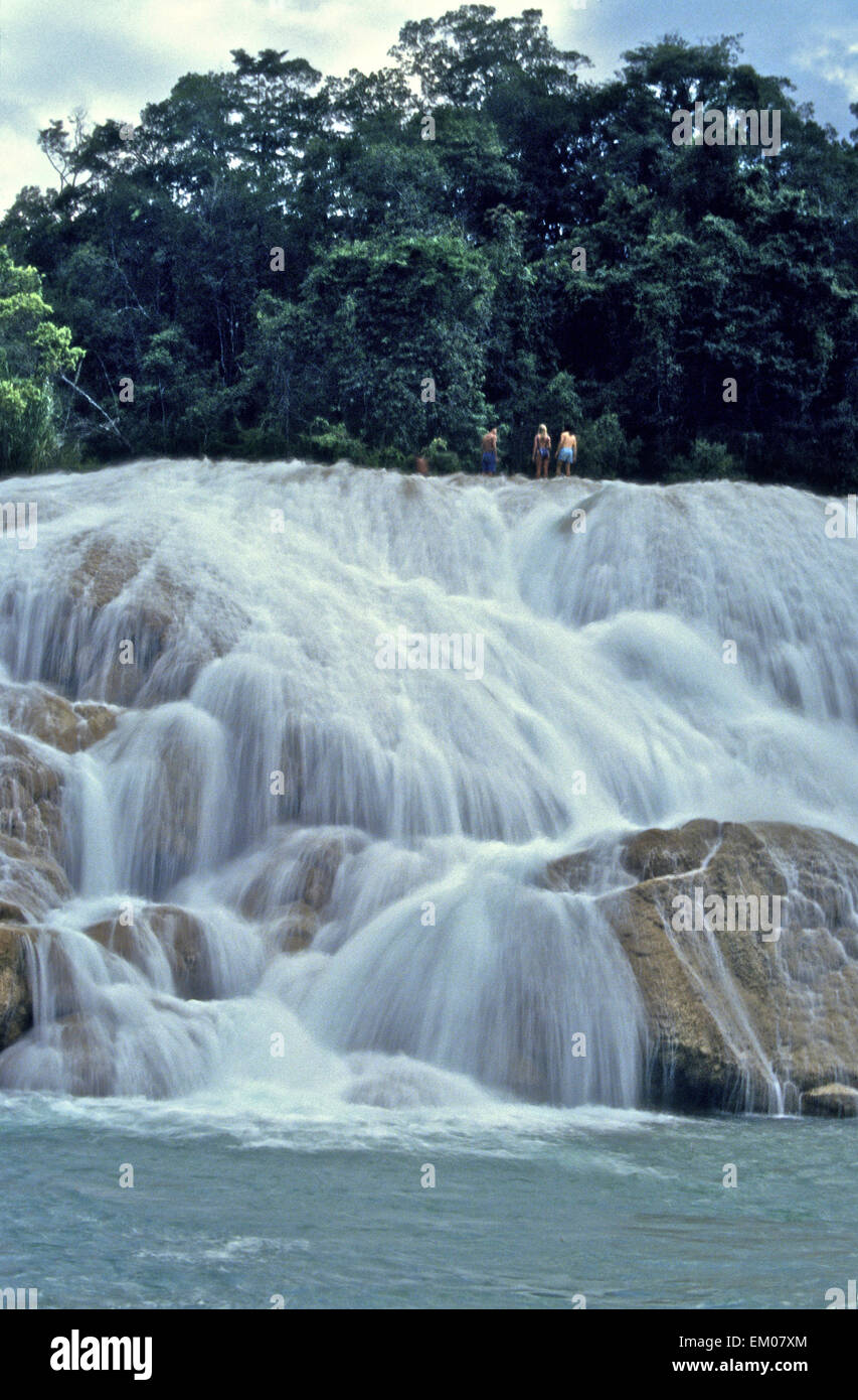 Mexiko - Aqua Azul Kaskaden in Chiapas in der Nähe von Palenque am Fluss gewählt sind ein muss für Touristen, die in den scheinbar sicheren blauen Wasser schwimmen können. Stockfoto