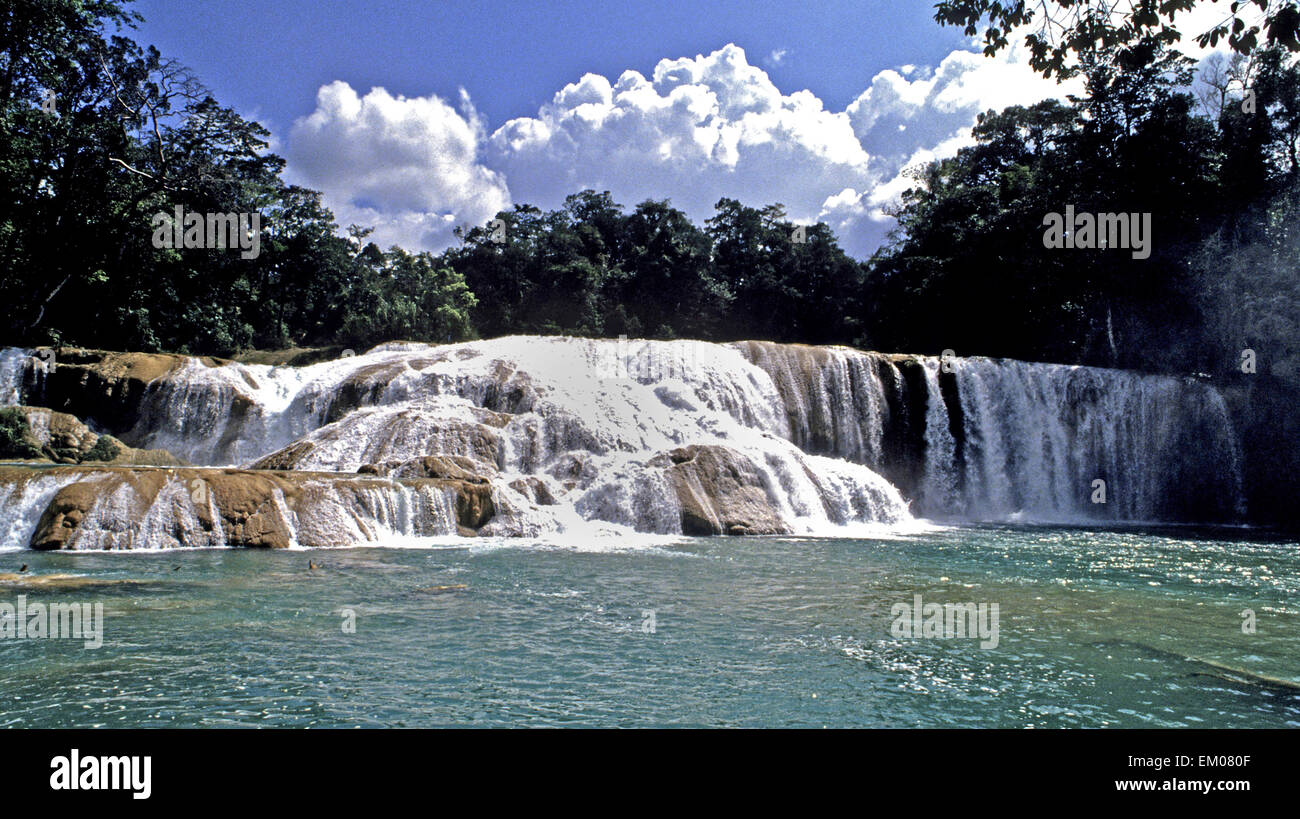 Mexiko - Aqua Azul Kaskaden in Chiapas in der Nähe von Palenque am Fluss gewählt sind ein muss für Touristen, die in den scheinbar sicheren blauen Wasser schwimmen können. Stockfoto