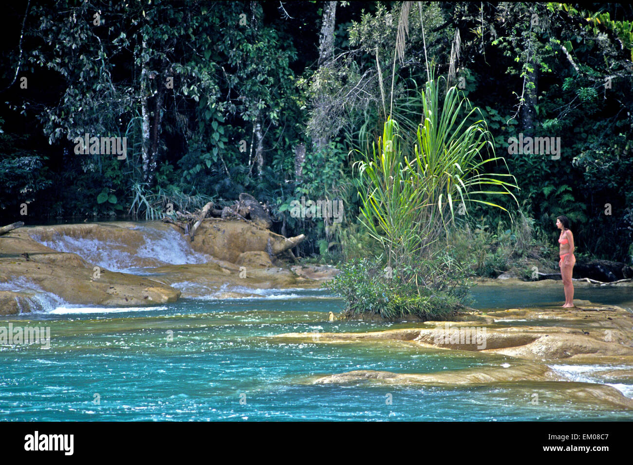 Mexiko - Aqua Azul Kaskaden in Chiapas in der Nähe von Palenque am Fluss gewählt sind ein muss für Touristen, die in den scheinbar sicheren blauen Wasser schwimmen können. Stockfoto