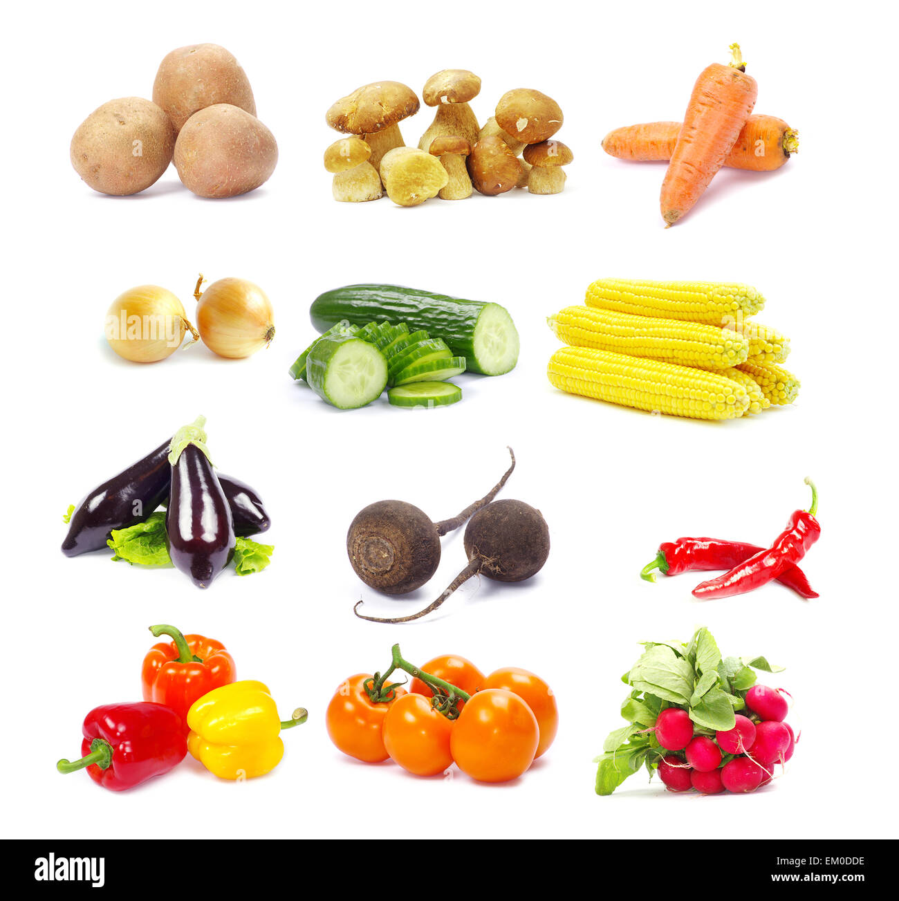 Sammlung-Gemüse Stockfoto