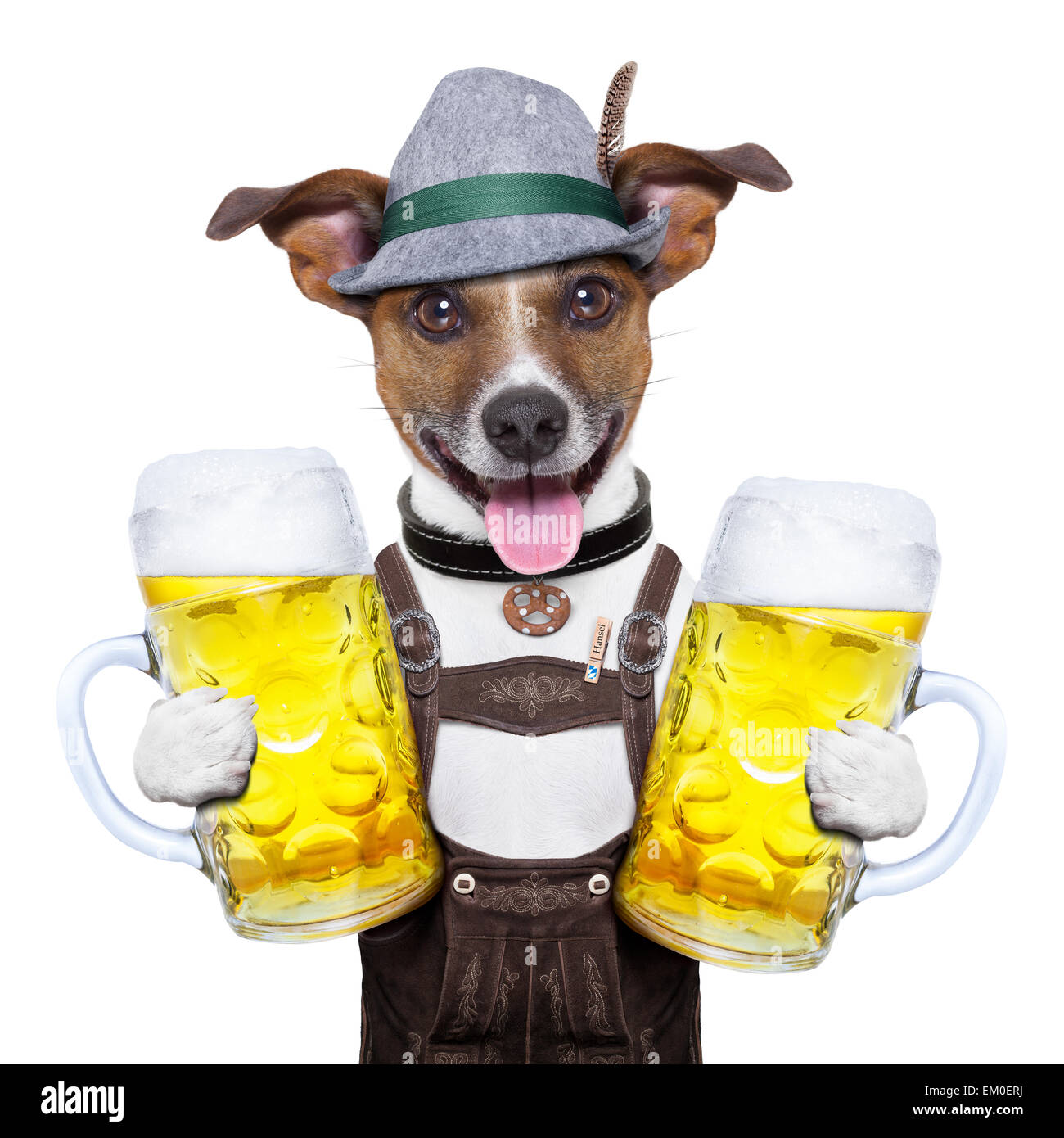 Oktoberfest-Hund Stockfoto