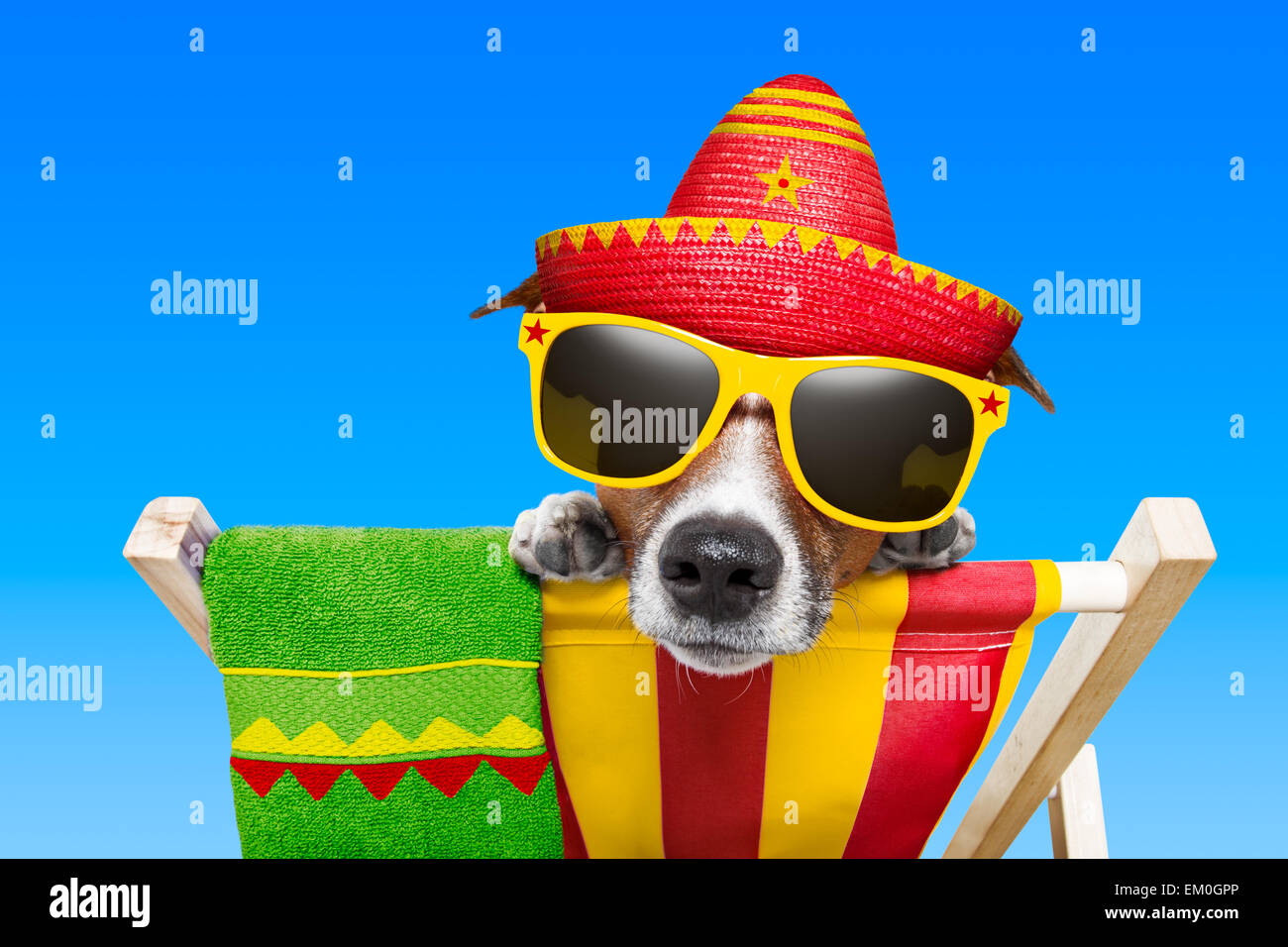 Ebros Weinflaschenhalter – Dekorative Figur 'Mexikanischer Chihuahua Mit Sombrero'