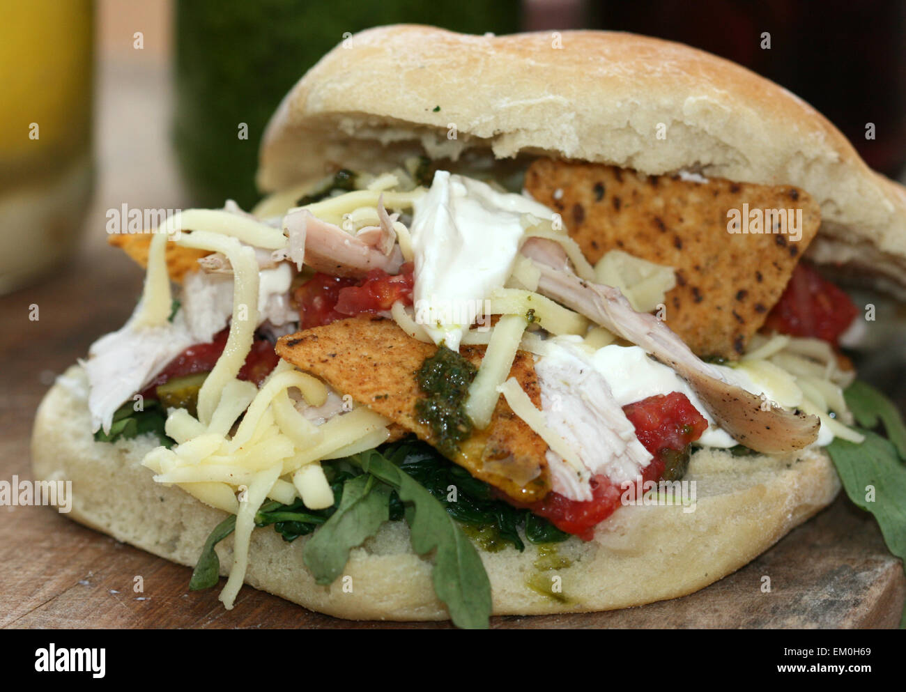 Tex-Mex-Hähnchen-Sandwich, Brathähnchen, Sauerrahm und Käse in einem Focaccia-Brötchen Stockfoto