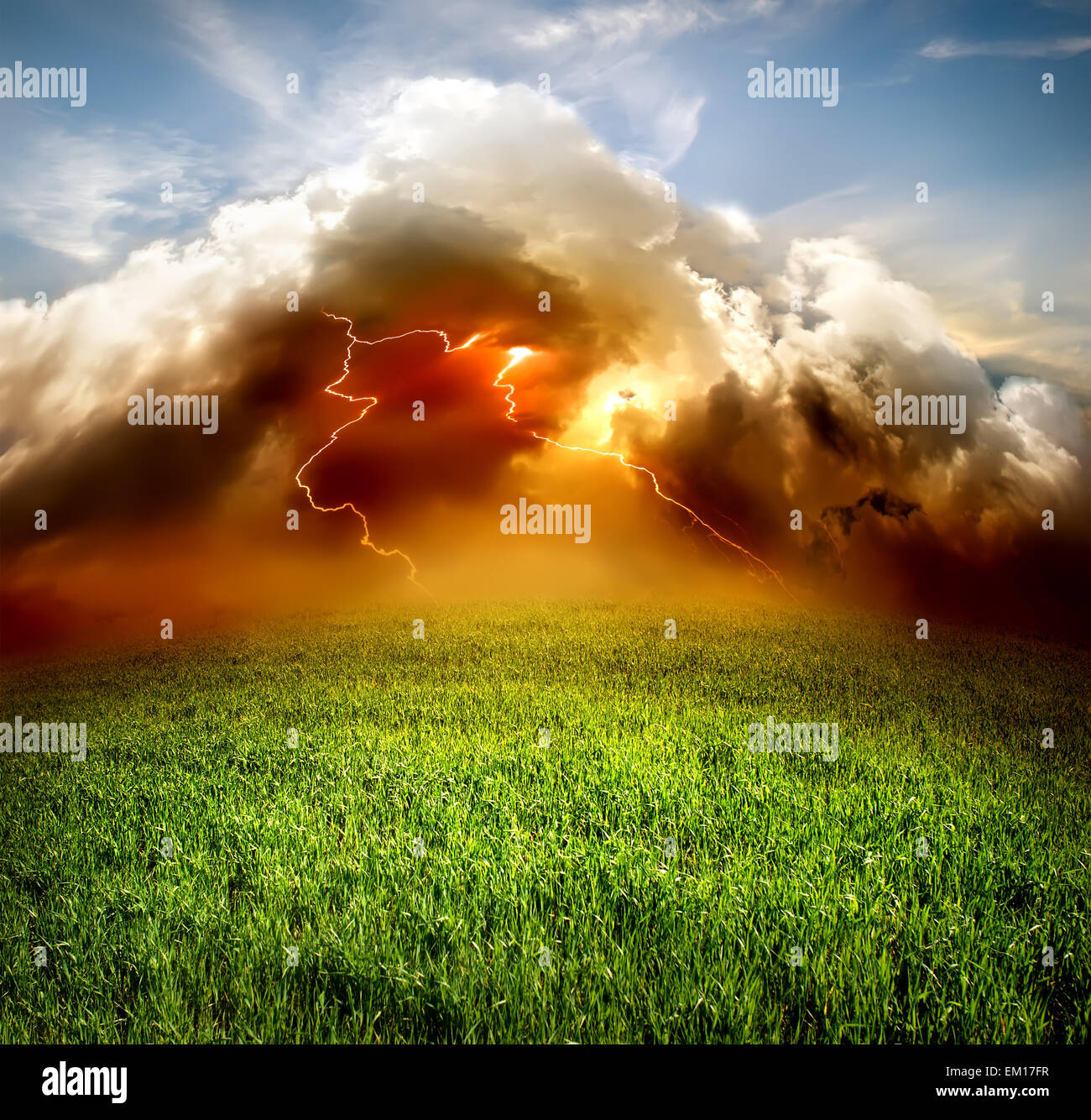 Blitze in das Feld Stockfoto