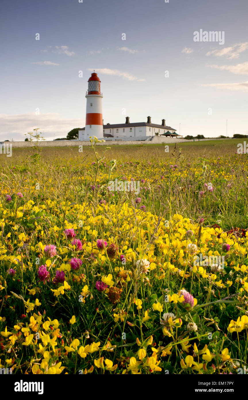 Souter Leuchtturm; South Shields Marsden South Tyneside Tyne And Wear, England Stockfoto