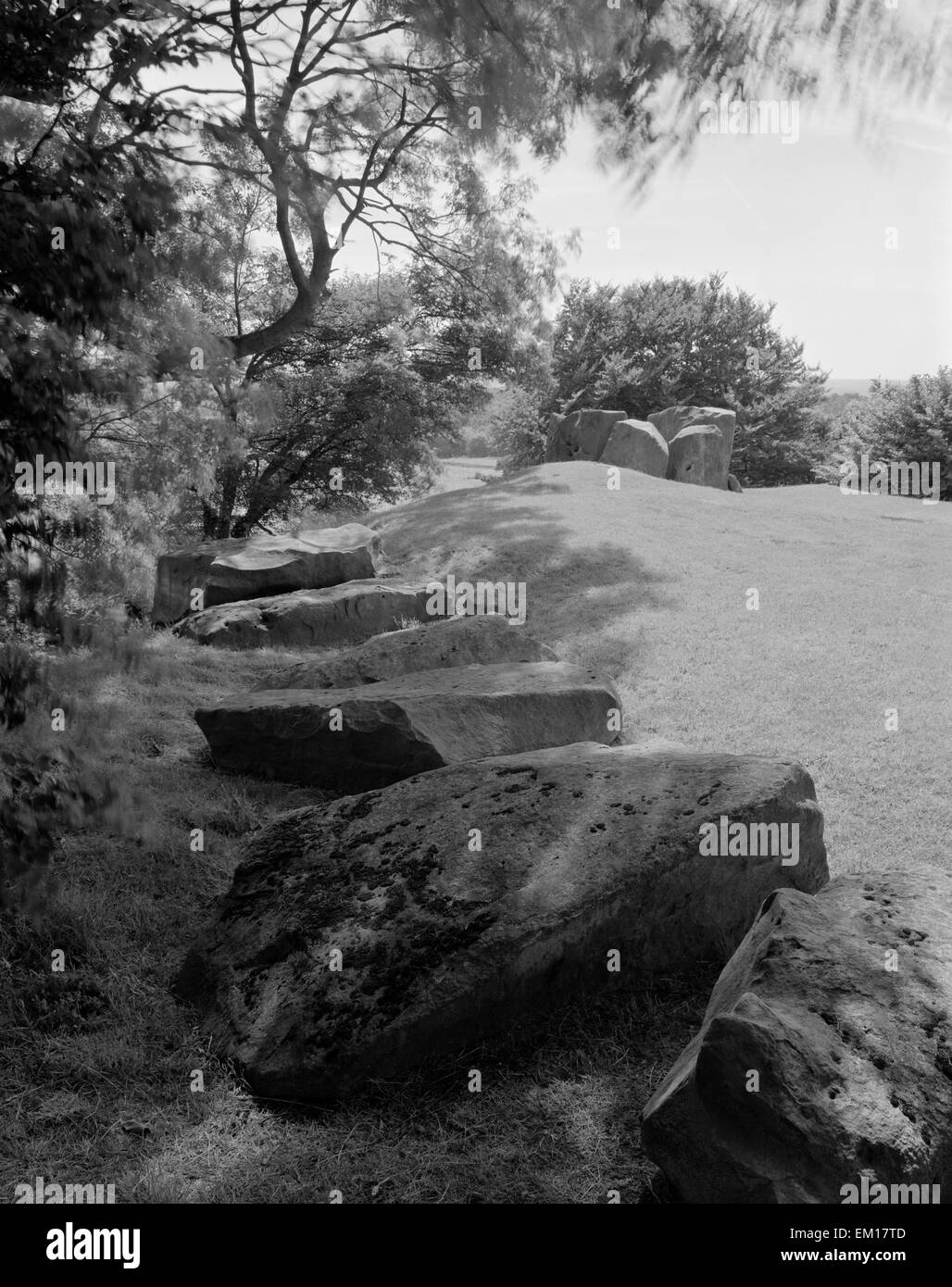 Coldrum neolithischen Dolmen, Kent, ist gesäumt von abgerundeten Sarsen Felsbrocken & hat eine gestörte Grabkammer an seinem E-Ende. Stockfoto