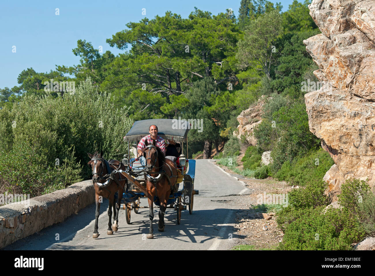 Ägypten, Istanbul, Prinzeninseln (Türk. Adalar) Im Marmarameer, Büyükada, Pferdekutsche Im Süden der Insel Stockfoto