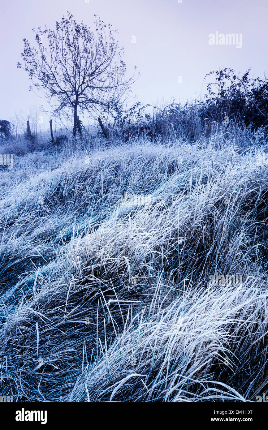 Bauernhof im Winter. Maturana, Alava, Baskisches Land. Spanien, Europa. Stockfoto