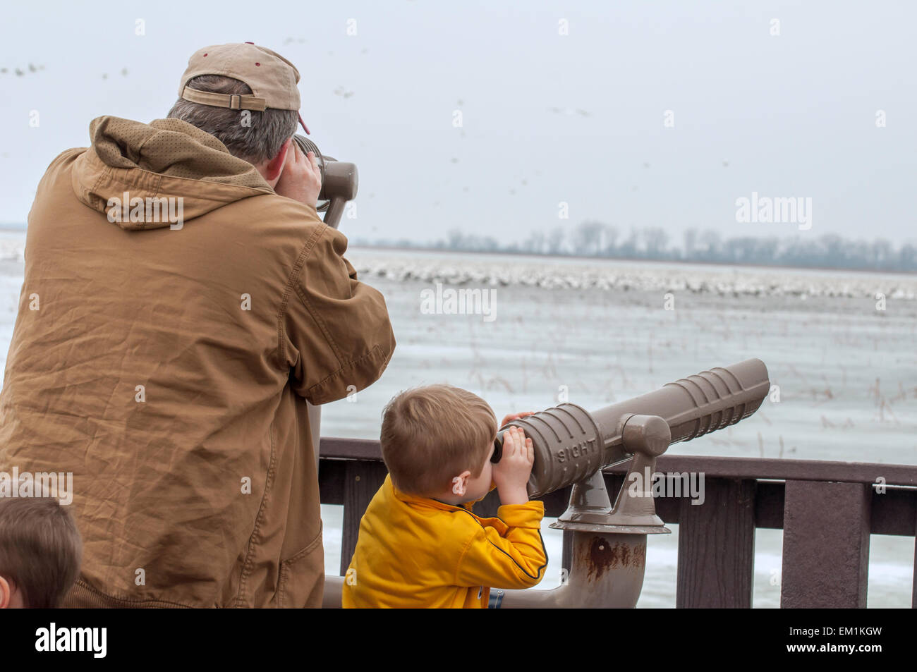 Mann und der junge Ausschau-Teleskop am Vögel Stockfoto