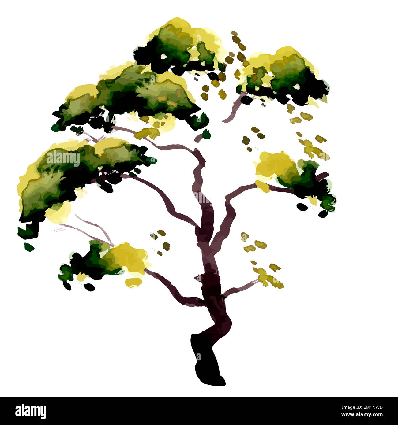 Abbildung isolierten Baum mit grünen Blättern Stockfoto