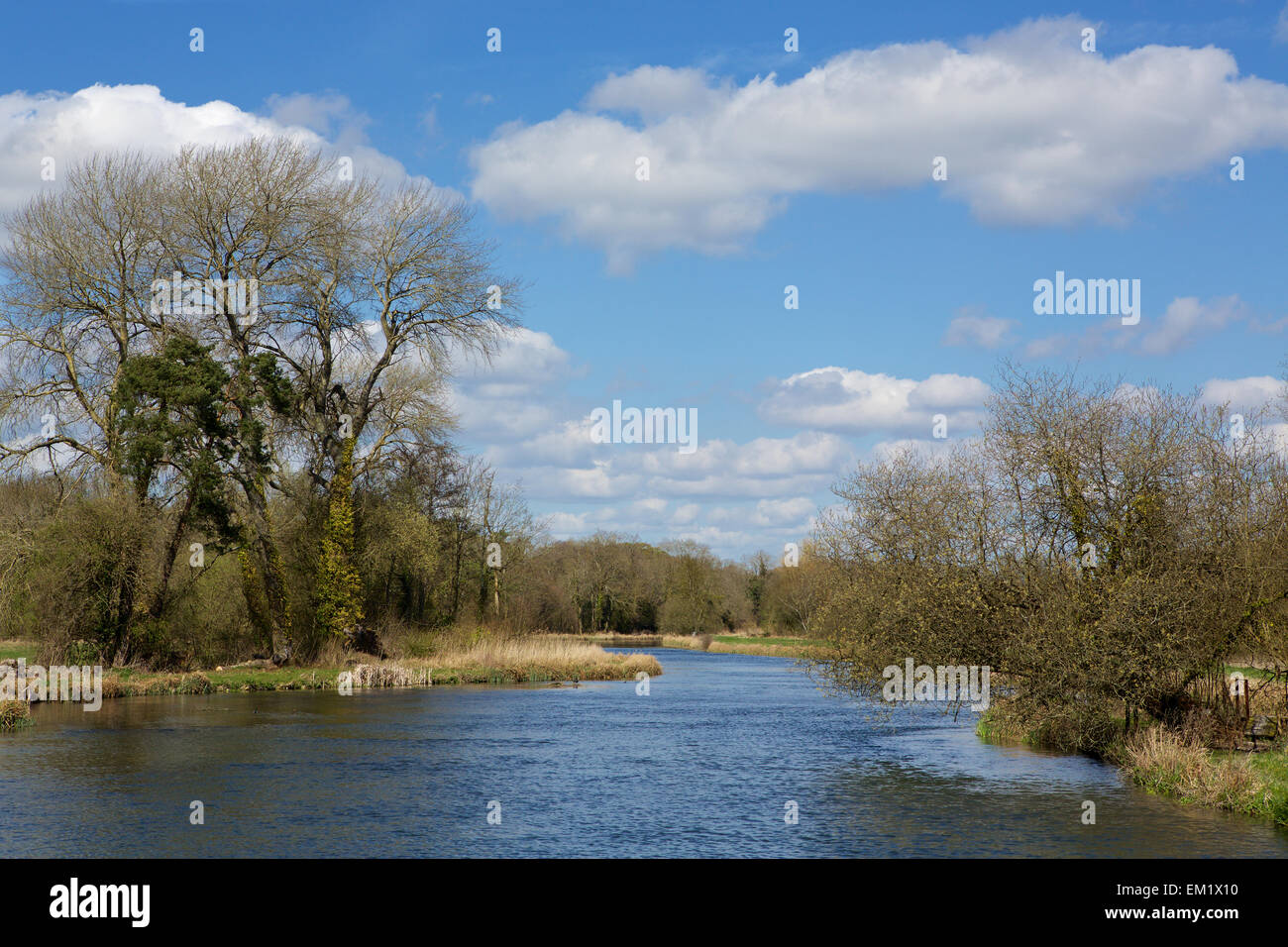 Fluss-Test fließt durch das Test-Tal in der Nähe von Romsey in Hampshire. Bäume und Sträucher zu blühen im späten Frühjahr kommen Stockfoto