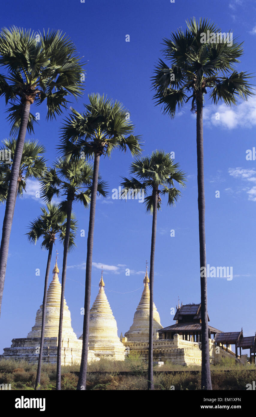 Birma (Myanmar), weiße Minochanthar Pagoden und Palmen; Bagan Stockfoto