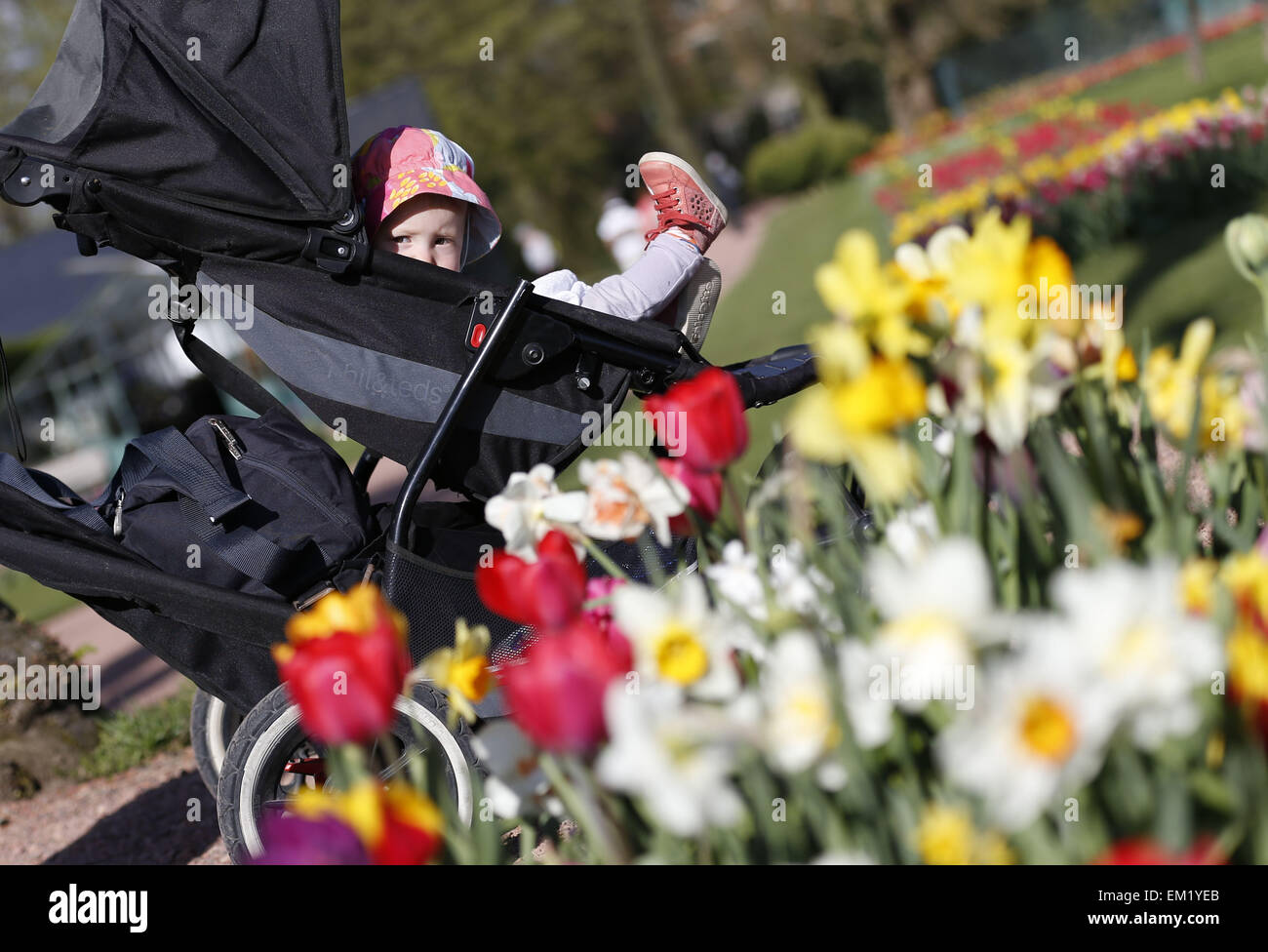 Brssel, Belgien. 15. April 2015. Ein Baby schaut aus einem Kinderwagen in  Groot-Bijgaarden Castle in einem Vorort von Brssel, Belgien, 15. April  2015. Das Schloss von 14 Hektar umfasst etwa 400 Tulpensorten
