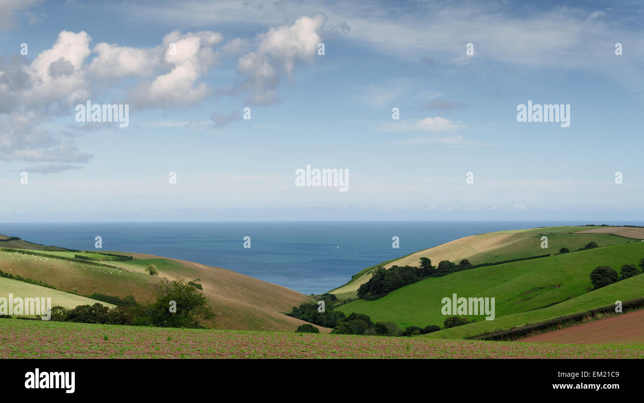 Coastal View, Coleton Fishacre, in der Nähe von Kingswear, Devon, England Stockfoto