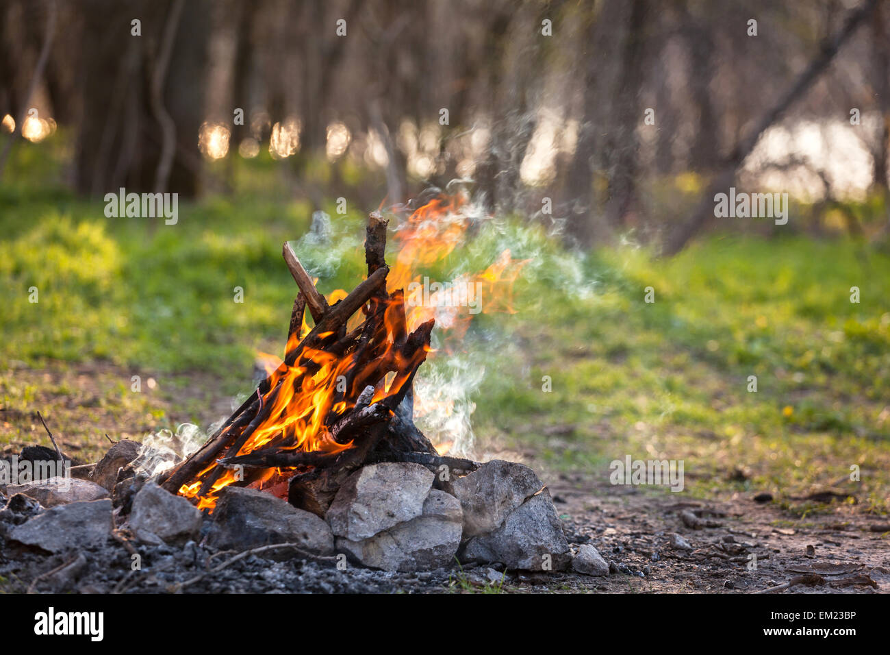 Lagerfeuer in den Frühlingswald. Kohlen. Ukraine Stockfoto