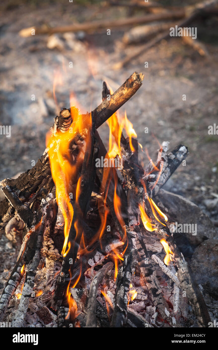 Lagerfeuer in den Frühlingswald. Kohlen. Ukraine Stockfoto