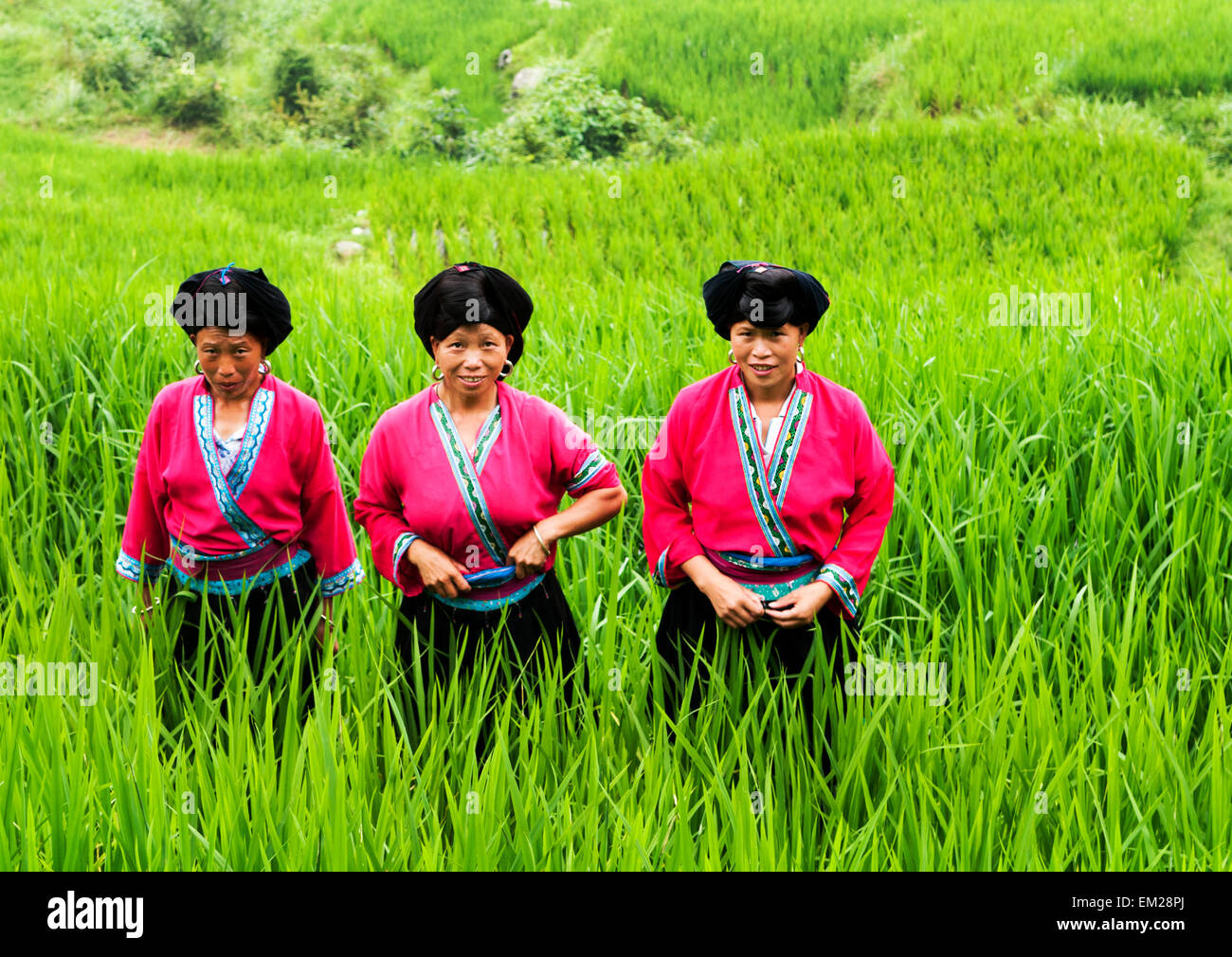 "Lange Haare" Yao Frauen in Longji, China. Stockfoto