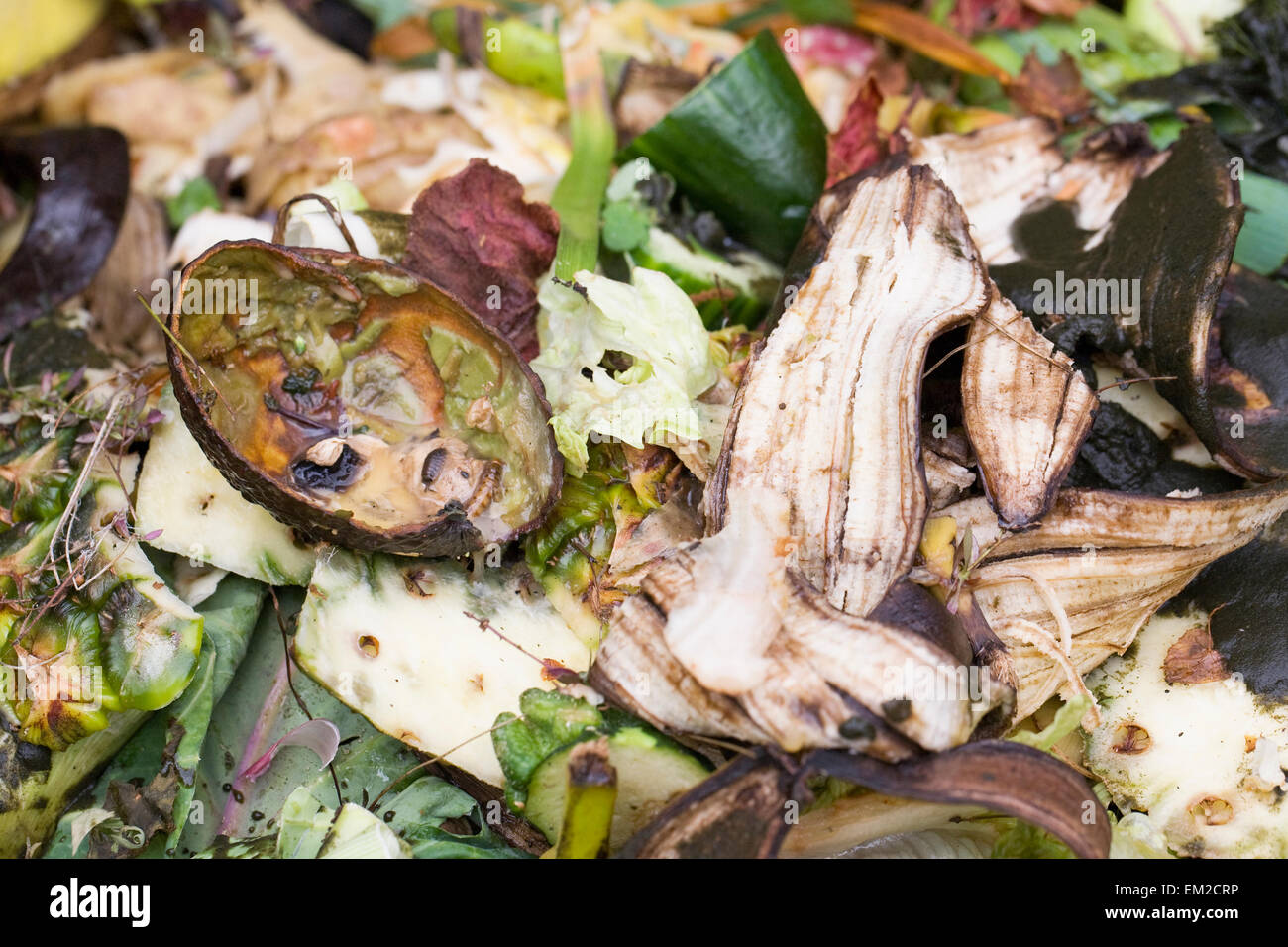 Pflanzliches Material auf einem Garten Kompost verrotten. Stockfoto