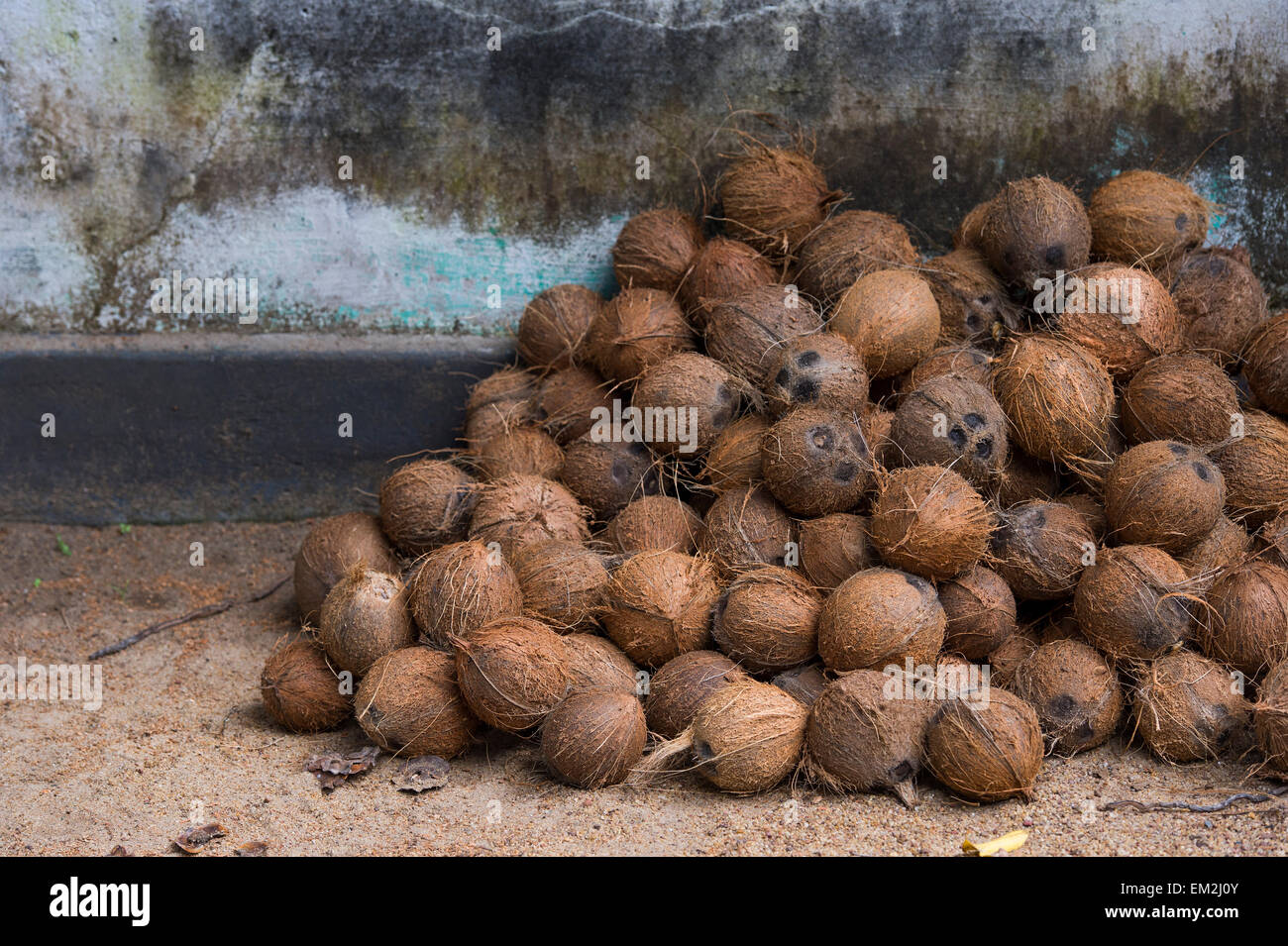 Kokos-Haufen, Kerala, Indien Stockfoto