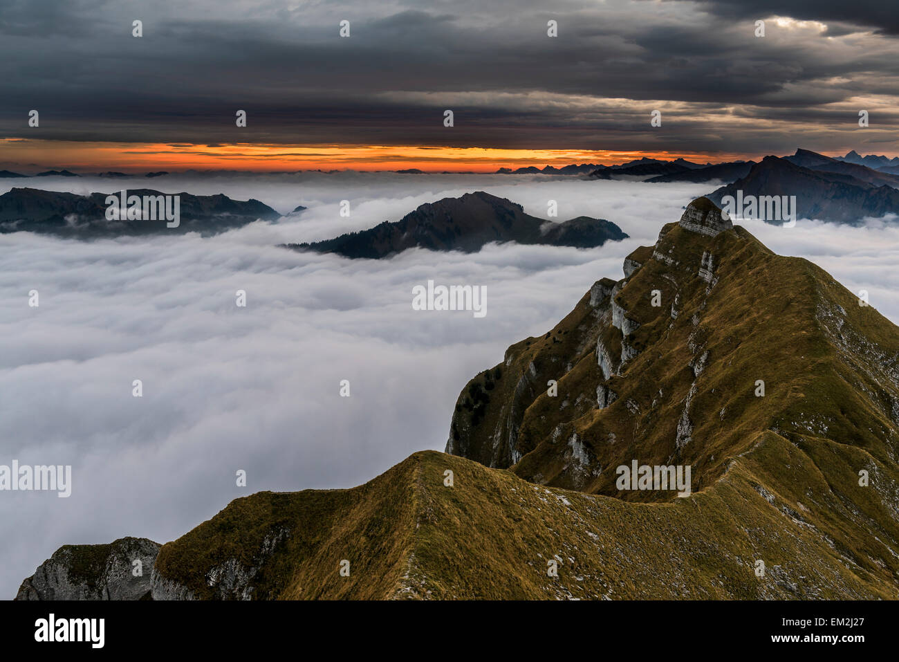 Gipfel der Kanisfluh mit Wolkendecke unter, bei Sonnenaufgang, Au, Bregenzerwald, Vorarlberg, Österreich Stockfoto